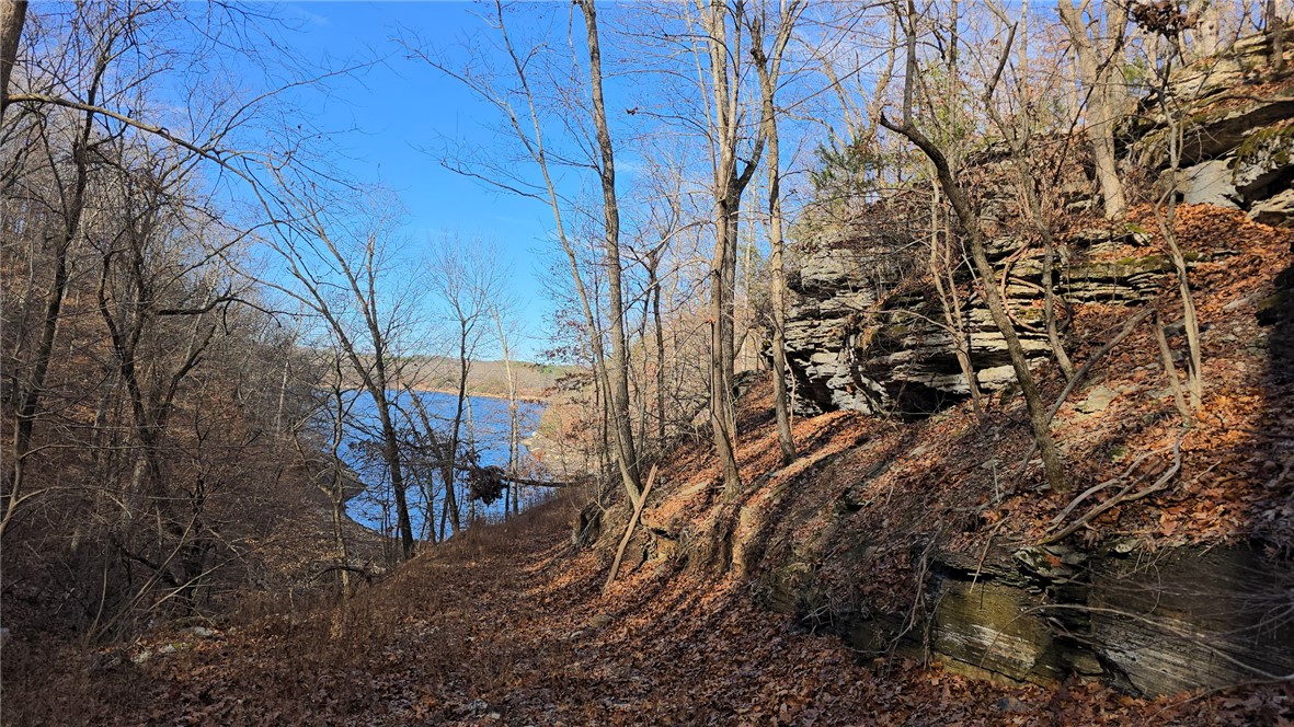 23.26 Acres McKnight Lane