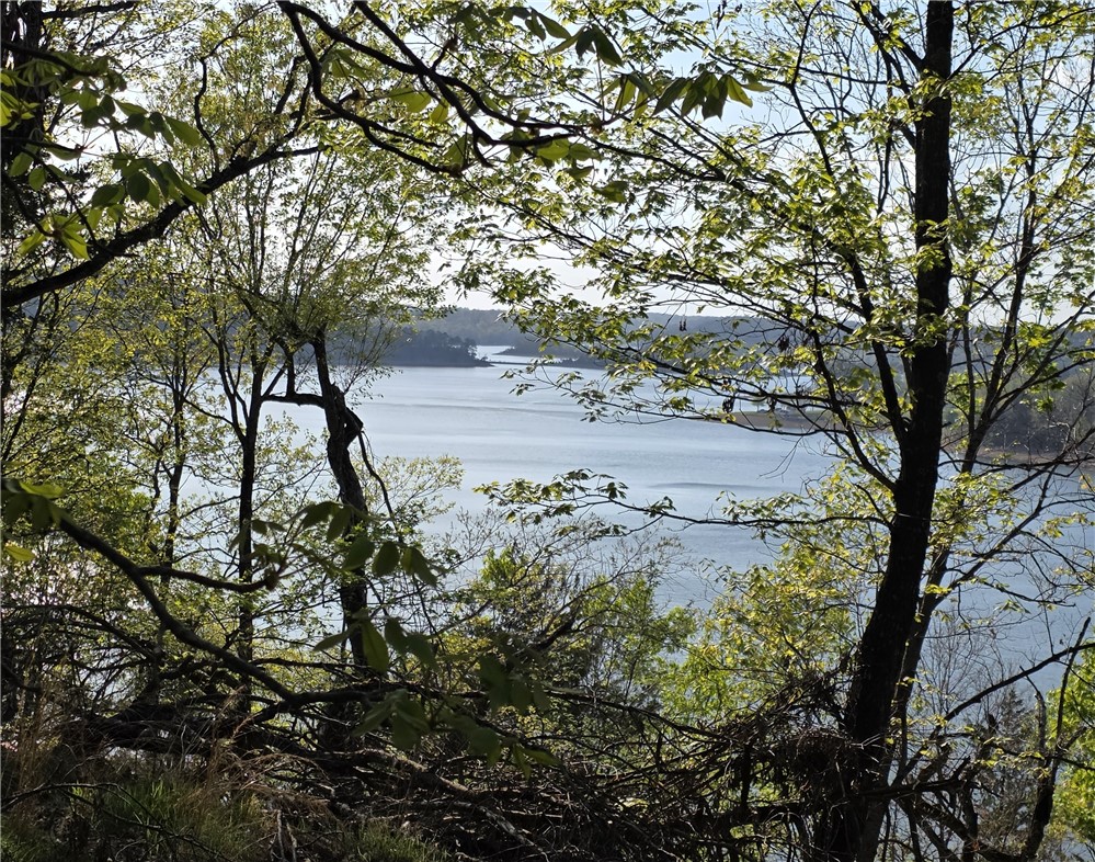 23.26 Acres McKnight Lane