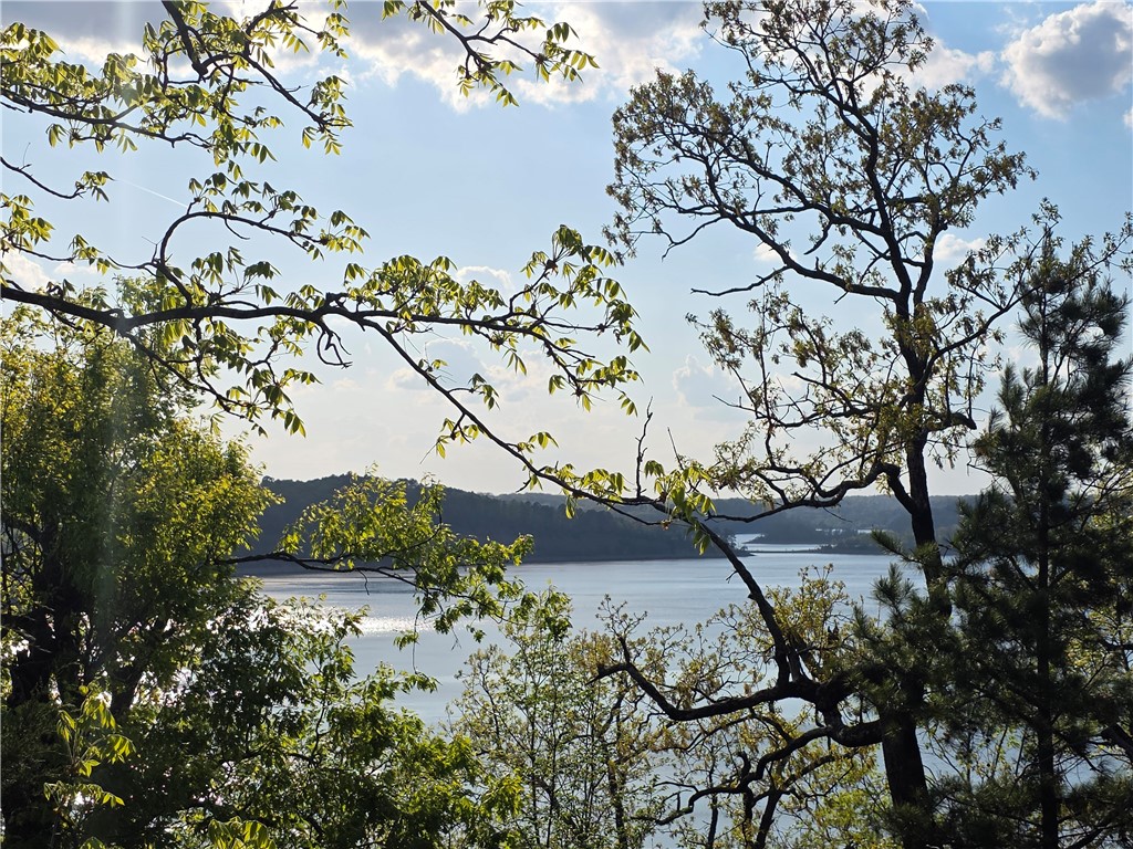 23.26 Acres McKnight Lane