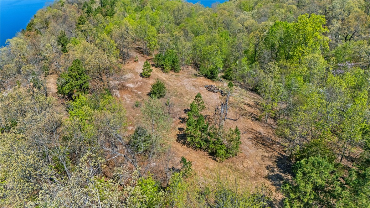 23.26 Acres McKnight Lane