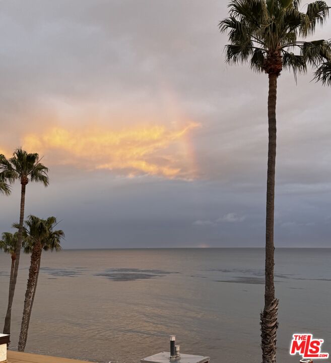 26666 SEAGULL WAY Unit: C202
