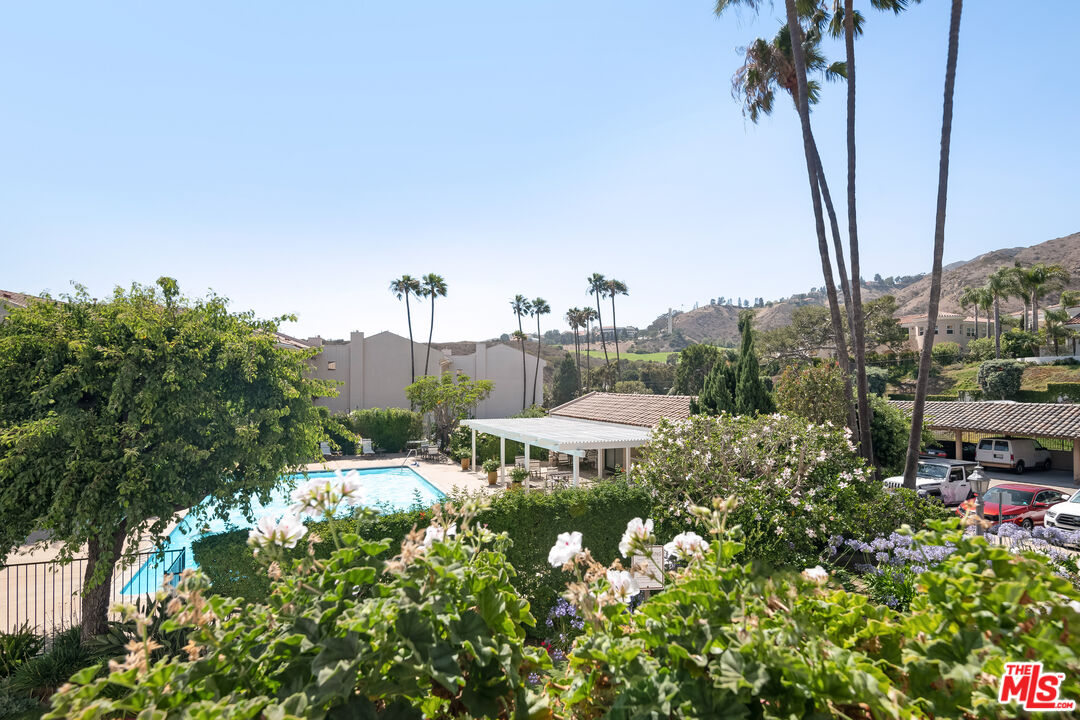 Swimming pool and landscaped grounds surrounded by palms, flowering plants, and hillside homes.