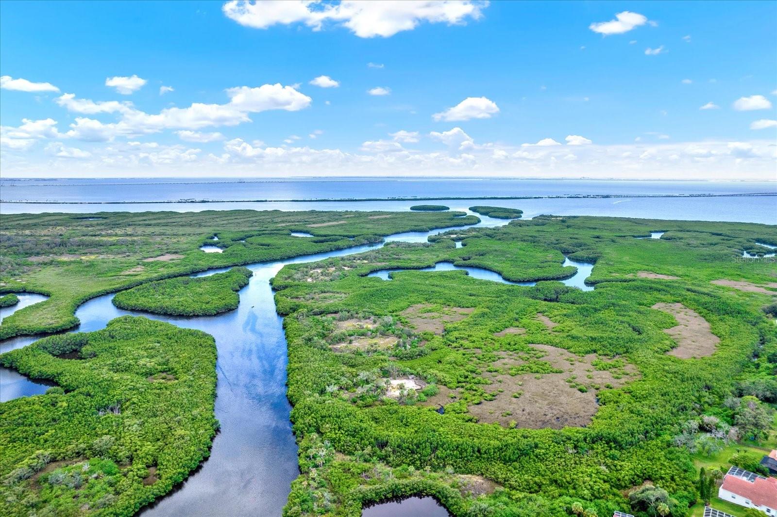 10403 SAINT TROPEZ PL