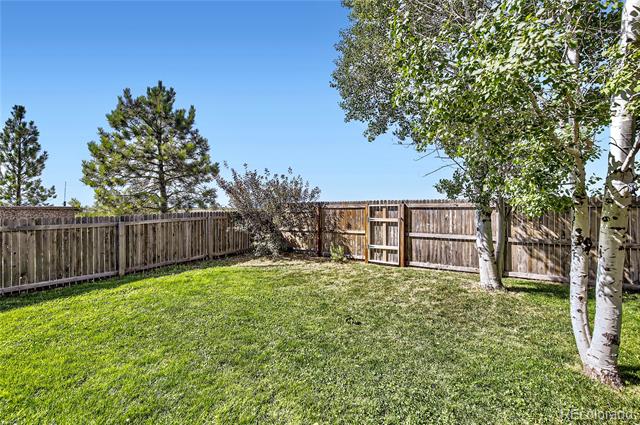 3732 Celtic Lane