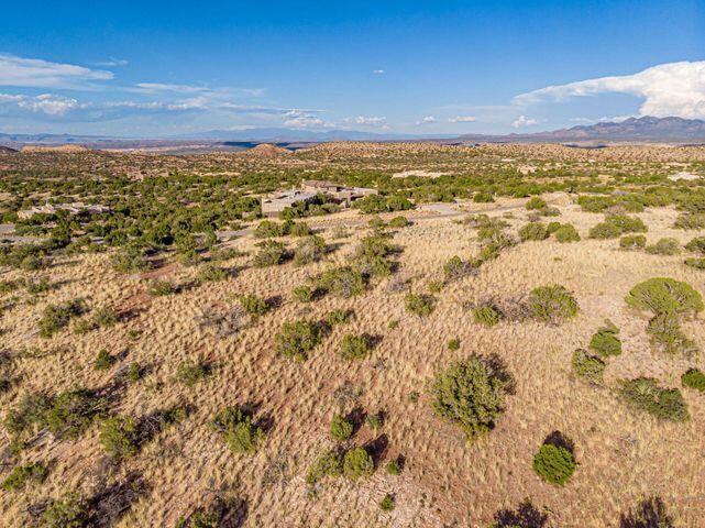107 BUFFALO RIDGE Court