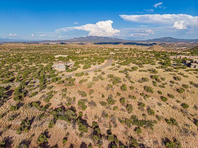 107 BUFFALO RIDGE Court