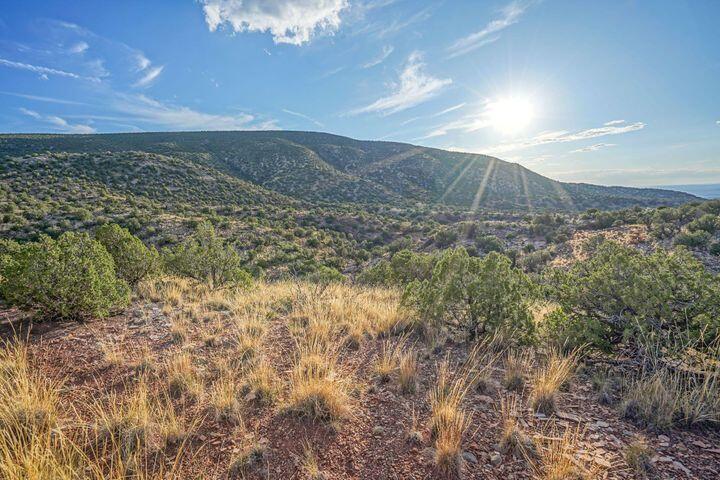 107 BUFFALO RIDGE Court