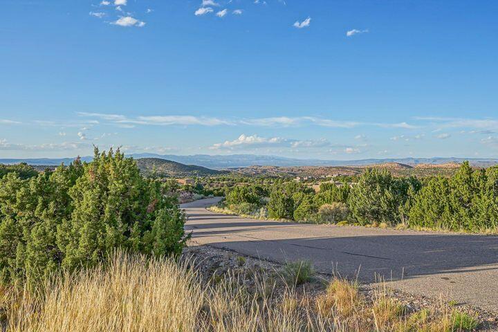 107 BUFFALO RIDGE Court