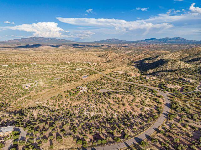 107 BUFFALO RIDGE Court