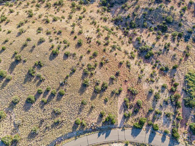 107 BUFFALO RIDGE Court