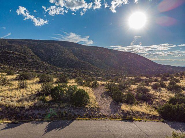 107 BUFFALO RIDGE Court