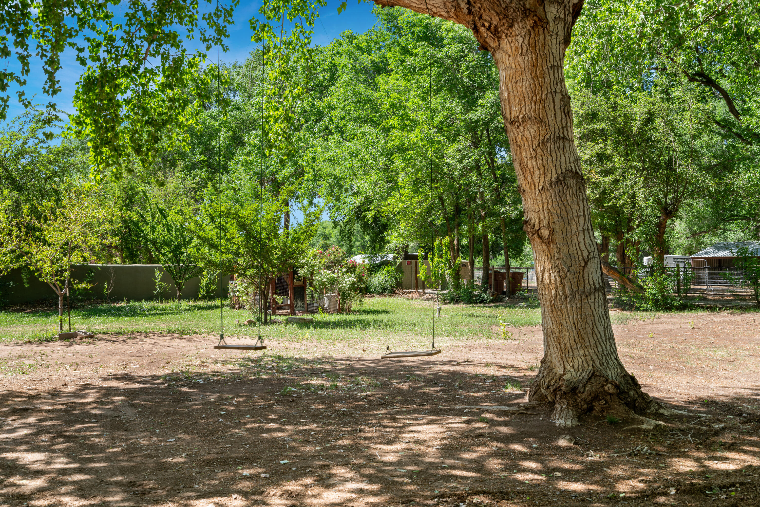 3447 CORRALES Road