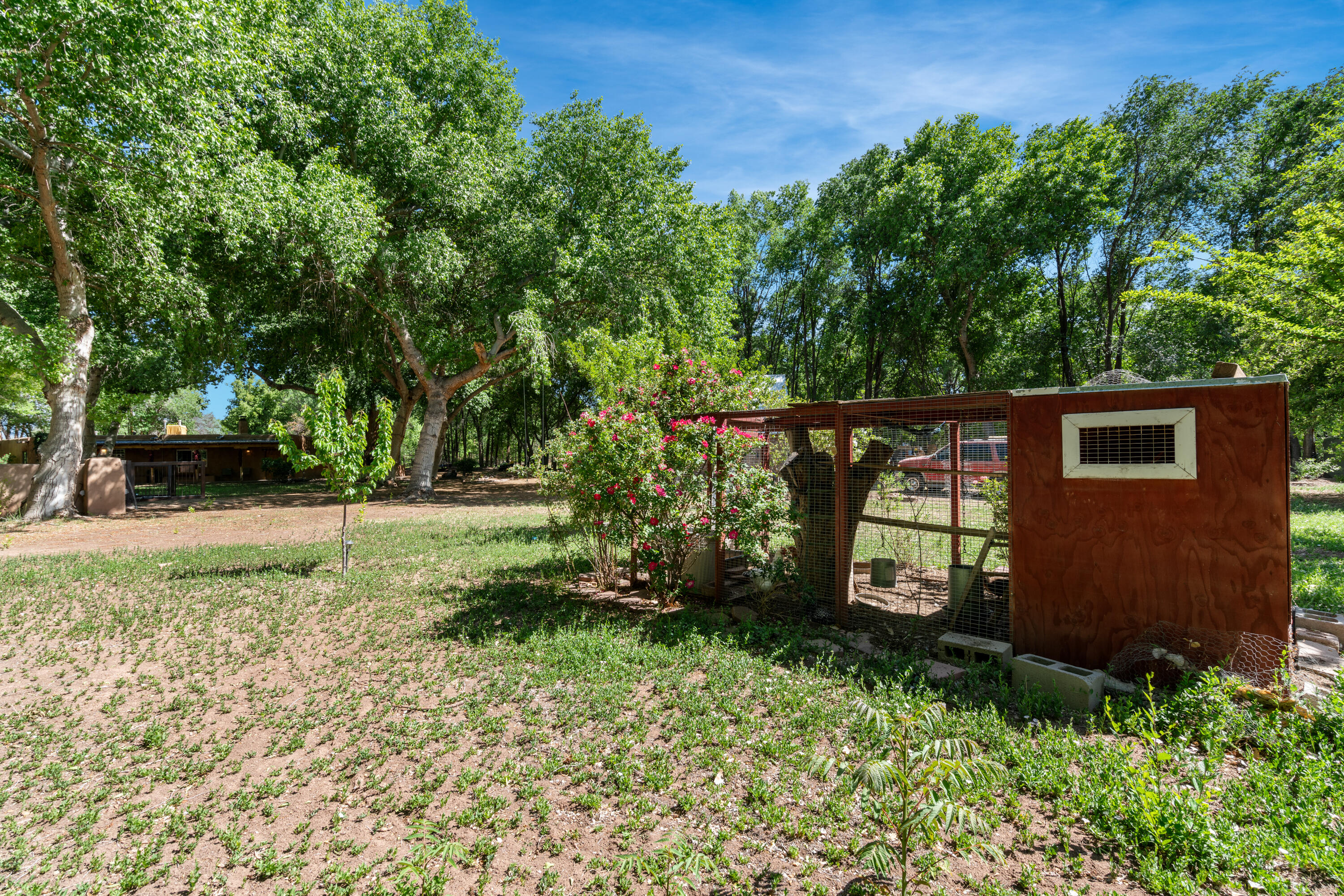 3447 CORRALES Road