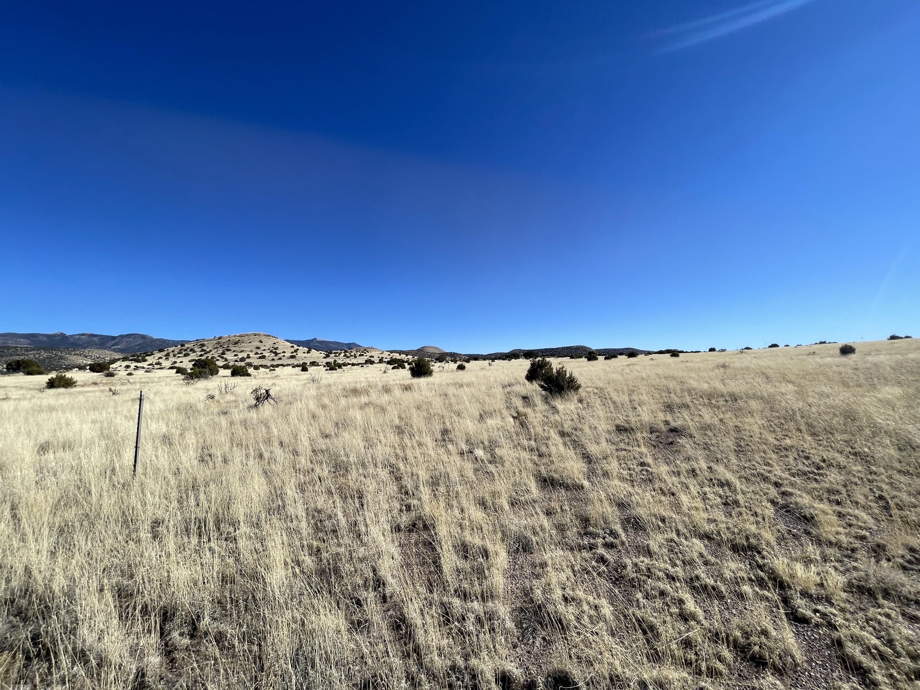 Lot 15 Magdalena Ranch Estates