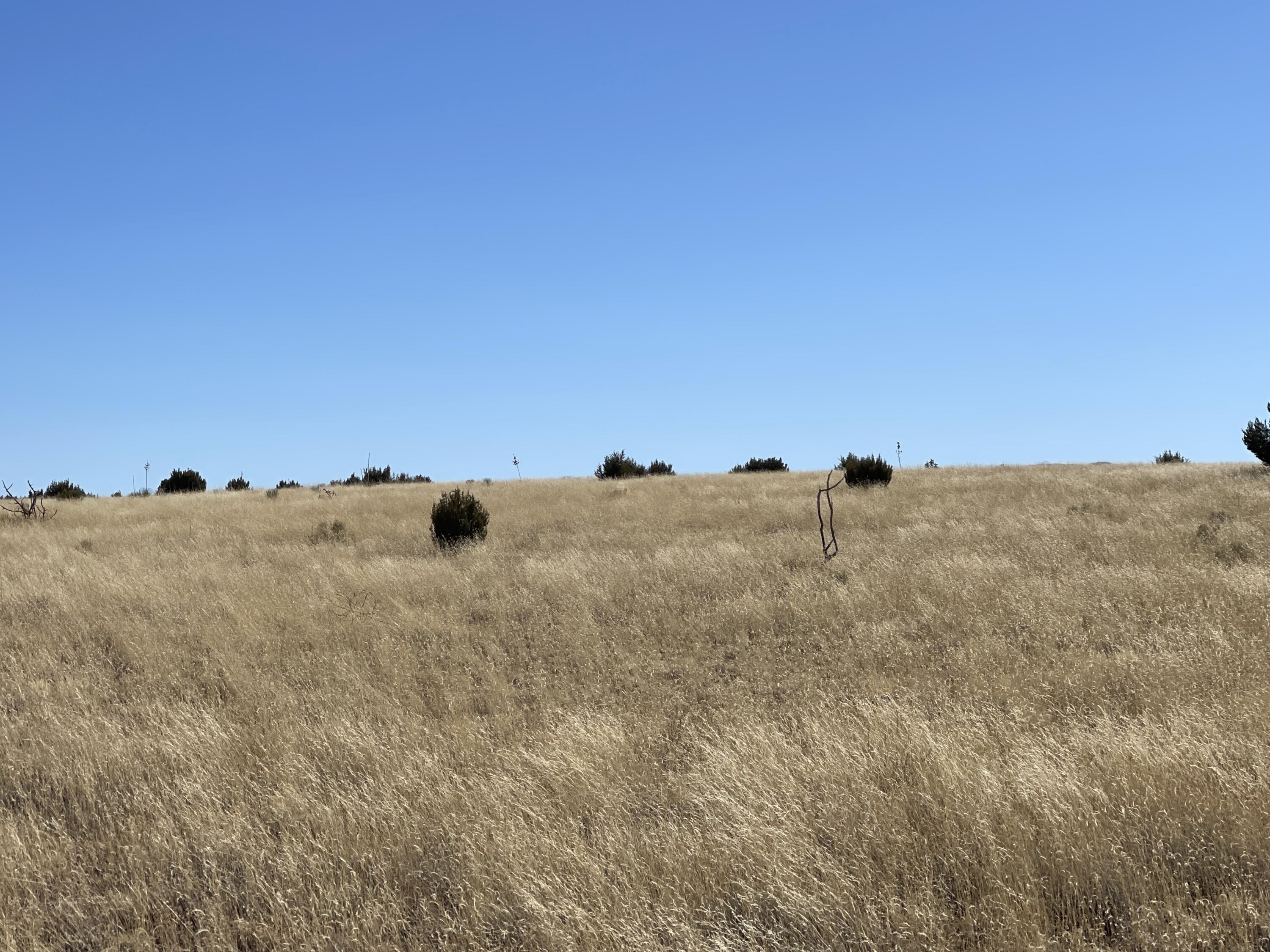 Lot 15 Magdalena Ranch Estates