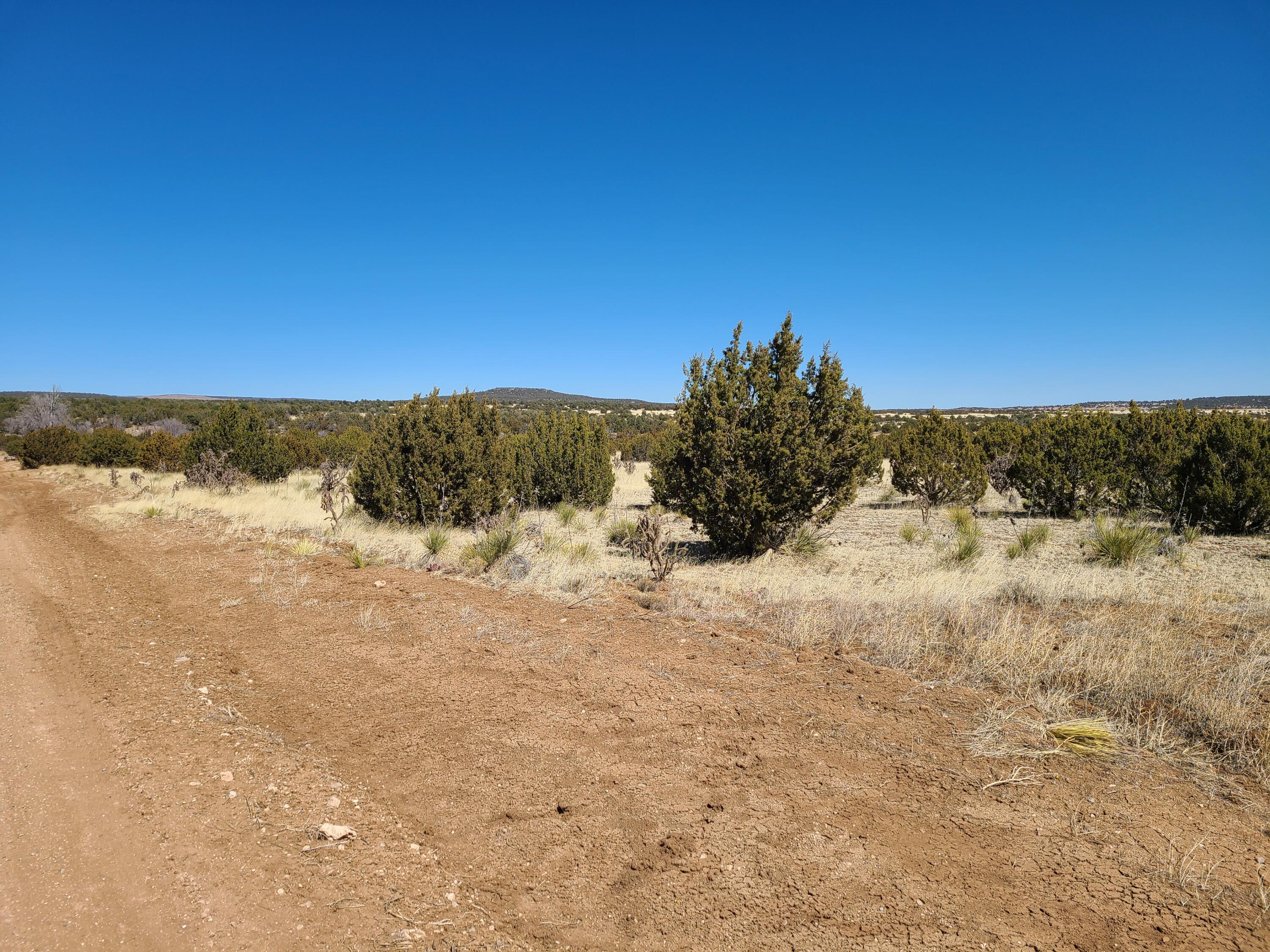 0 Oakwood Road Unit: 3