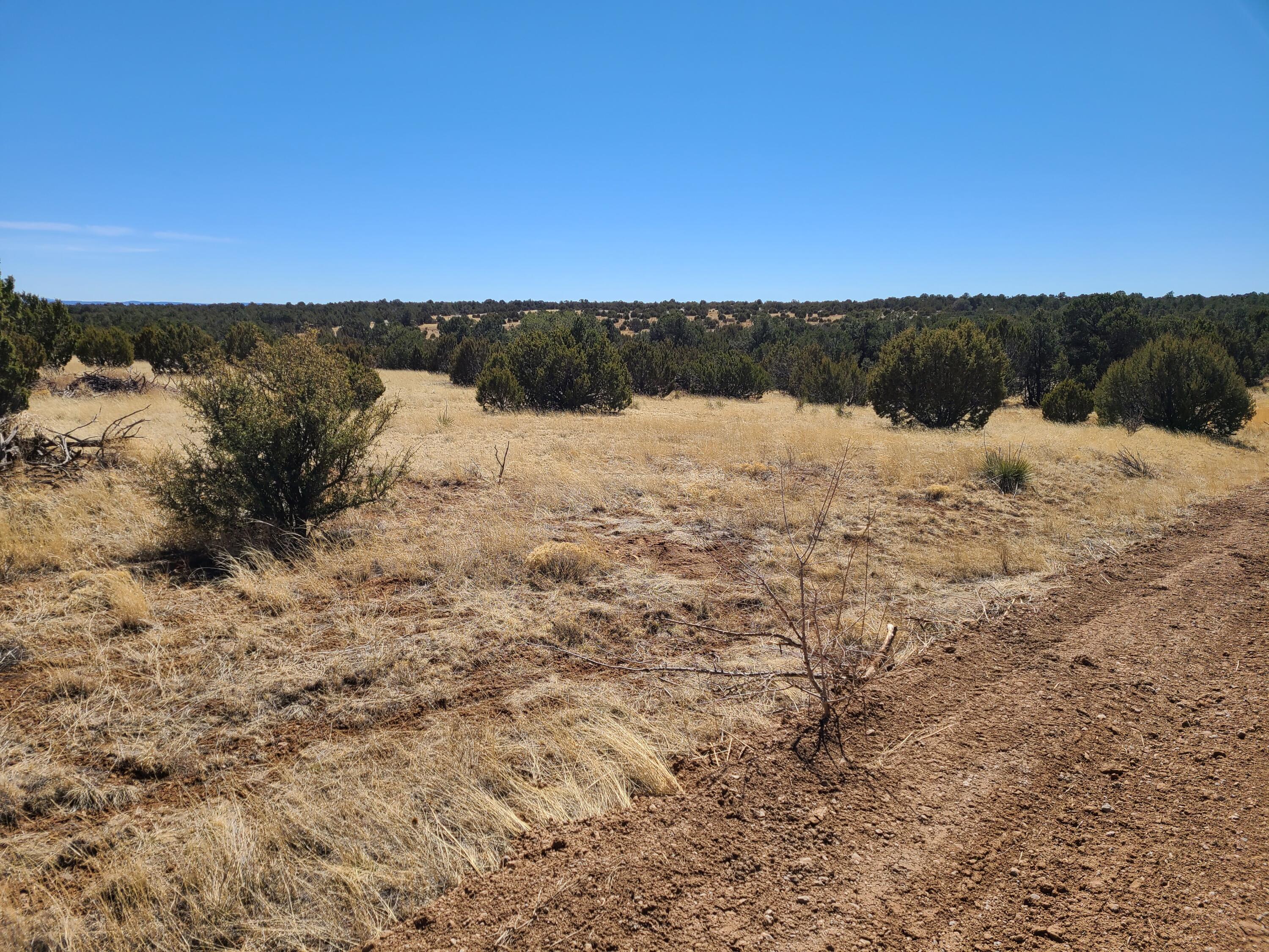 0 Oakwood Road Unit: 3