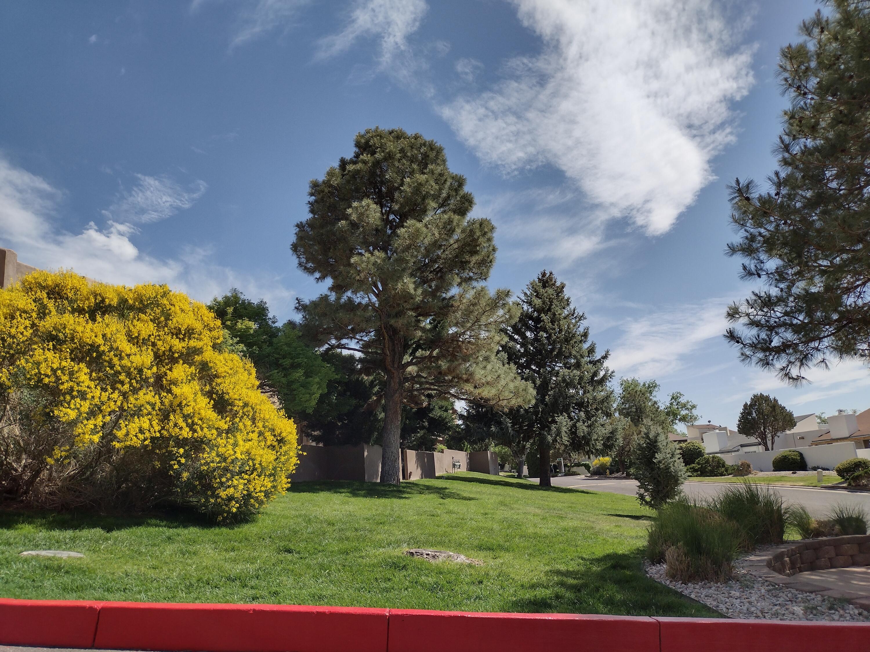 13206 CANDELARIA Road NE