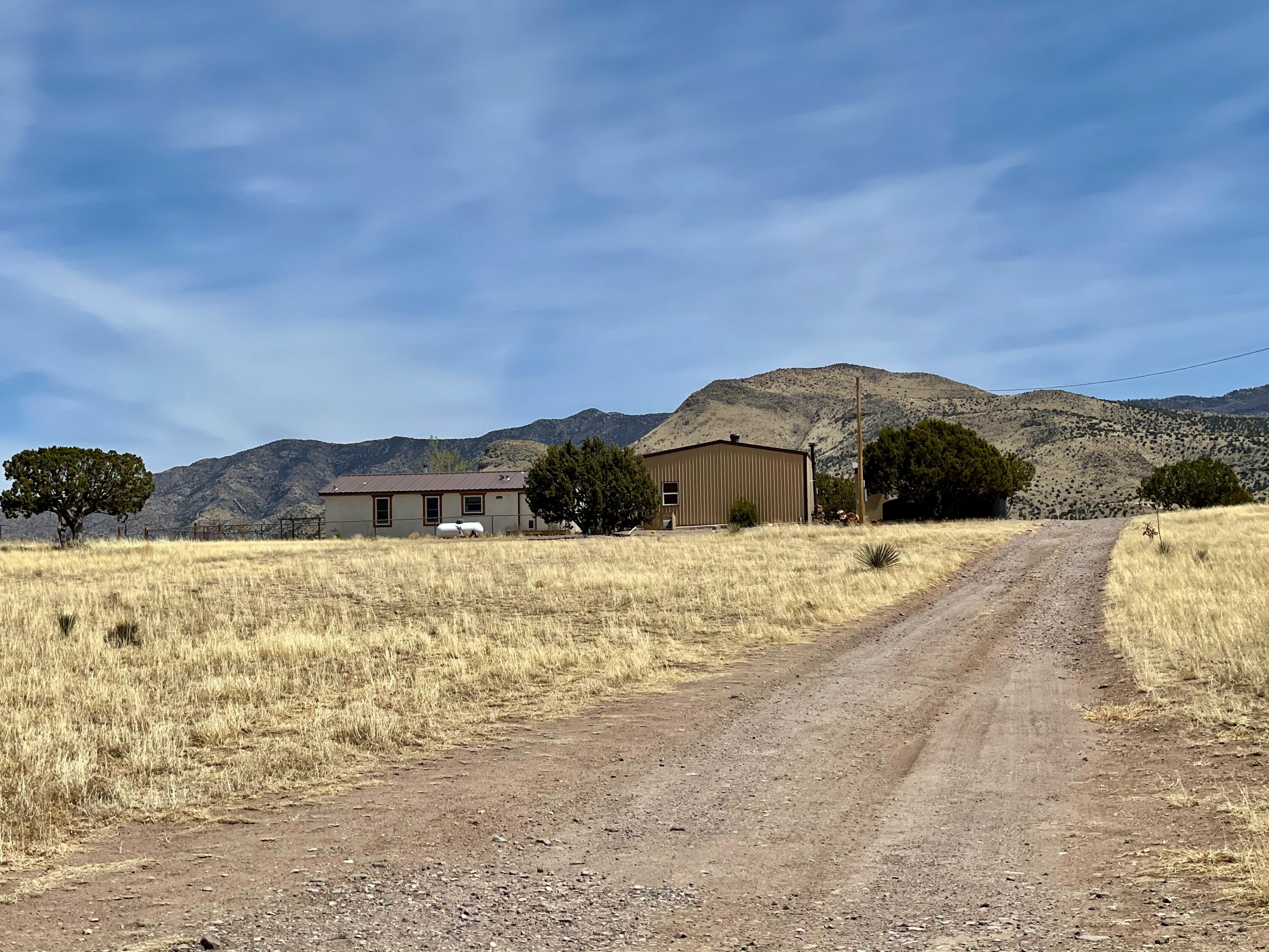 11 Brahman Road