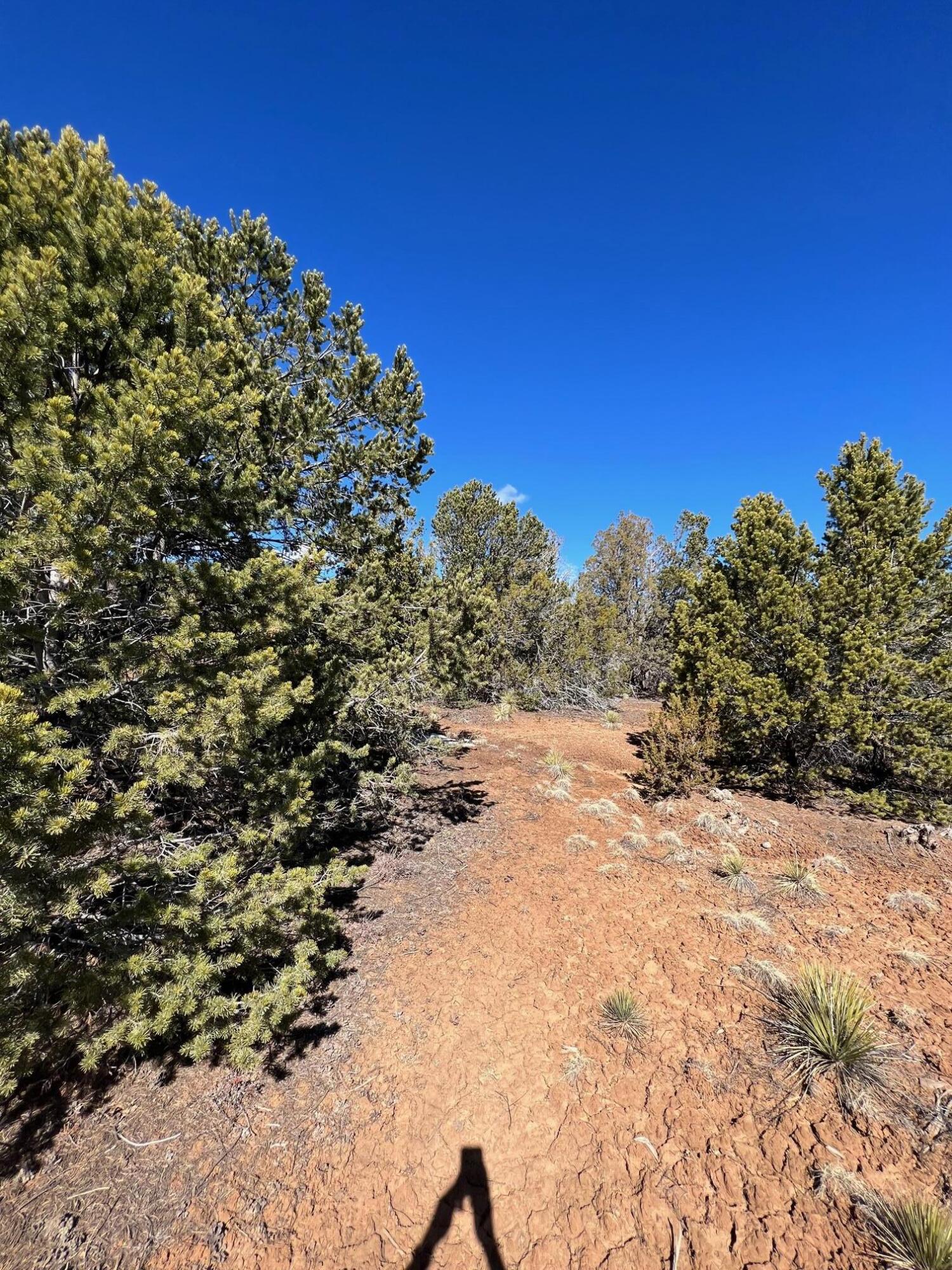 0 High Sierra