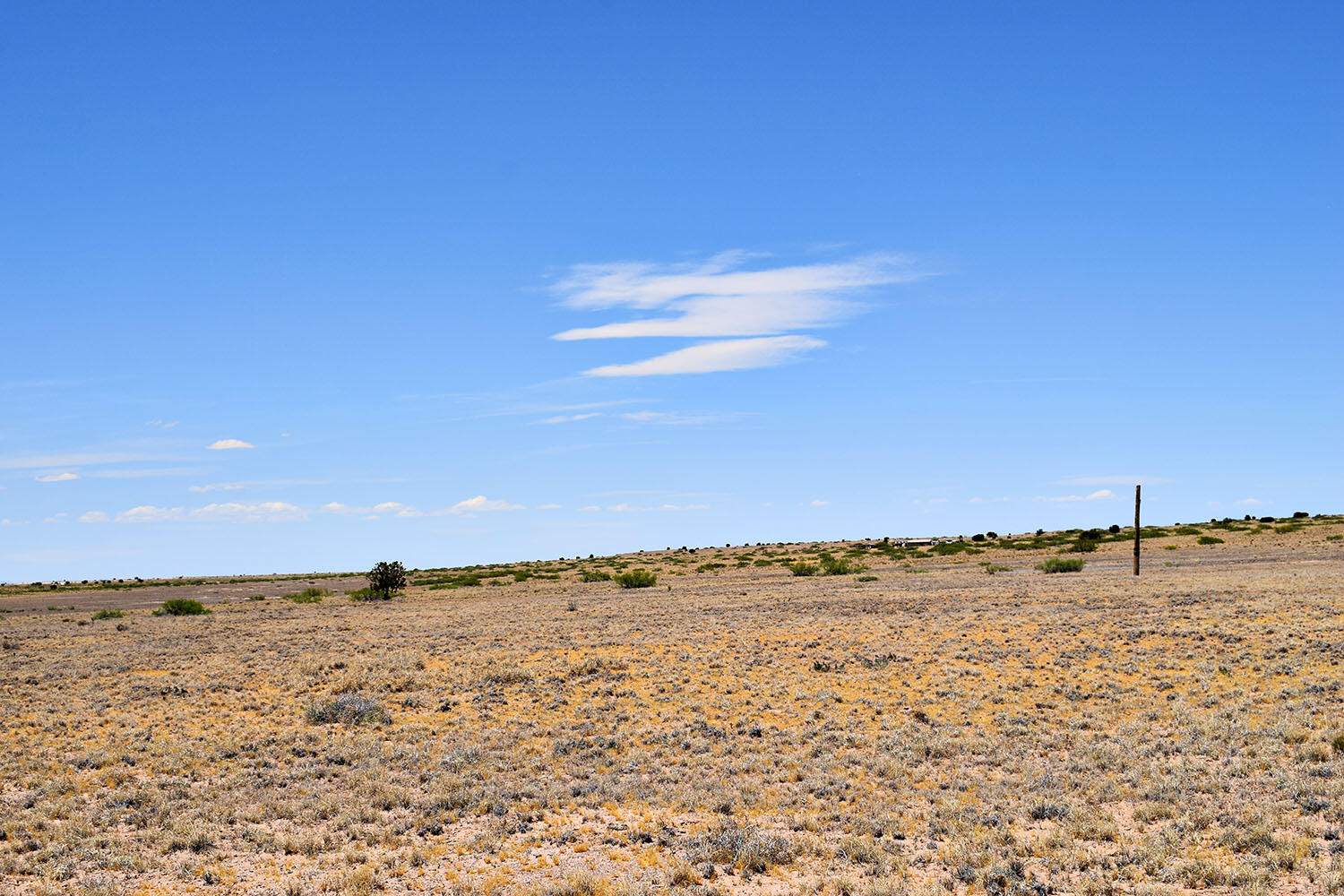 Lot 192 Rancho Rio Grande 5