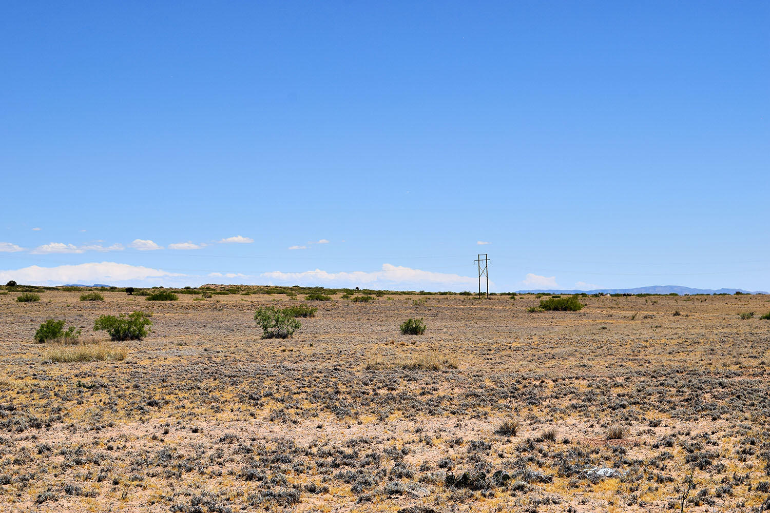 Lot 192 Rancho Rio Grande 5