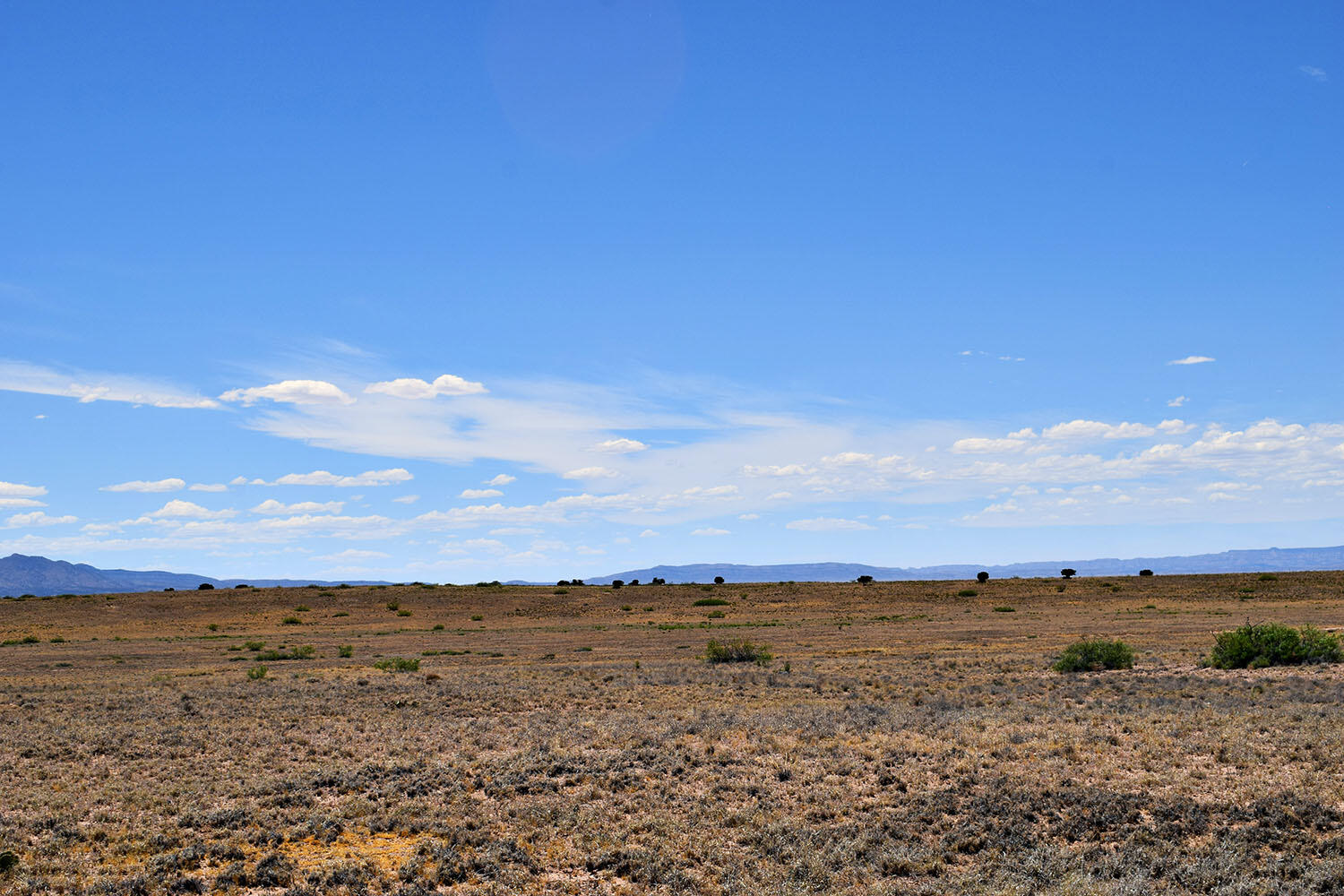 Lot 192 Rancho Rio Grande 5