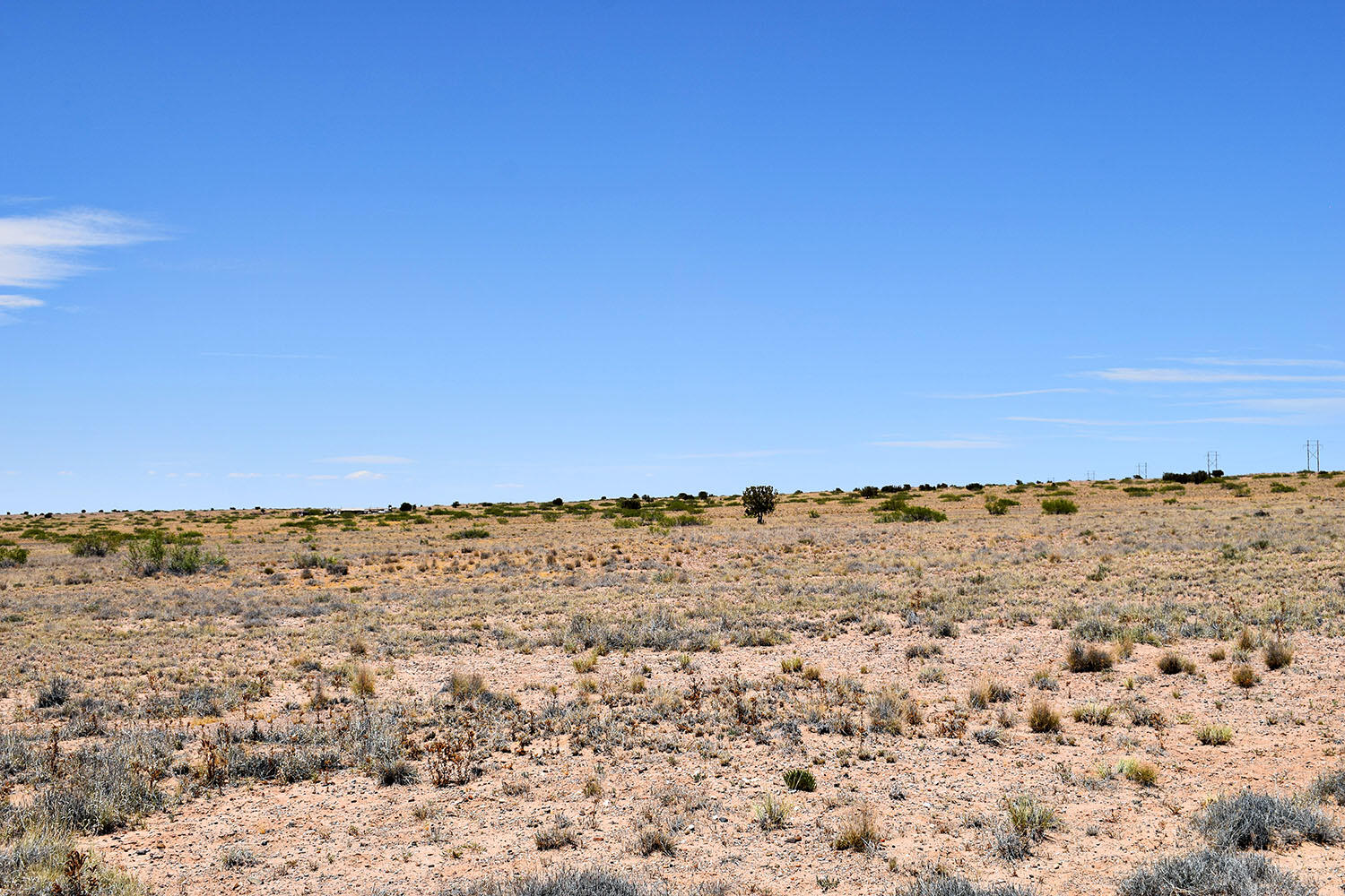Lot 192 Rancho Rio Grande 5