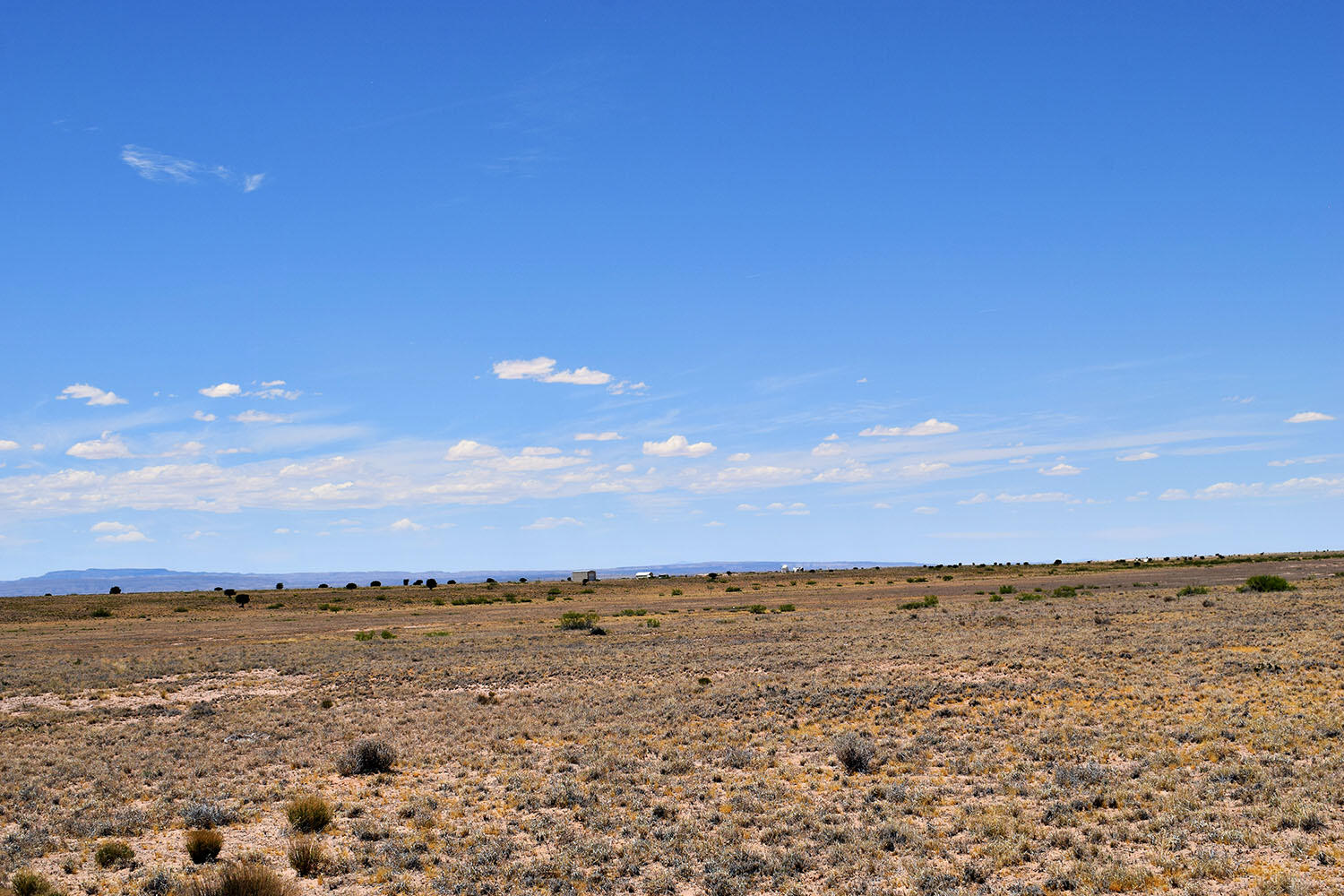 Lot 192 Rancho Rio Grande 5