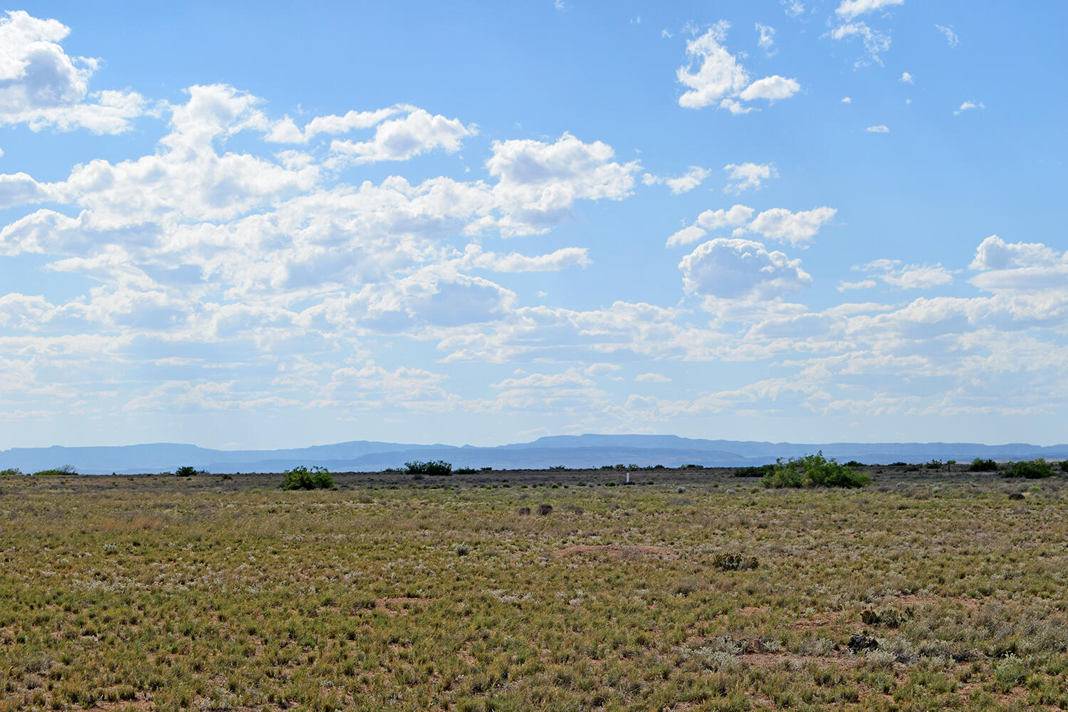 Lot 375 Rancho Rio Grande 4