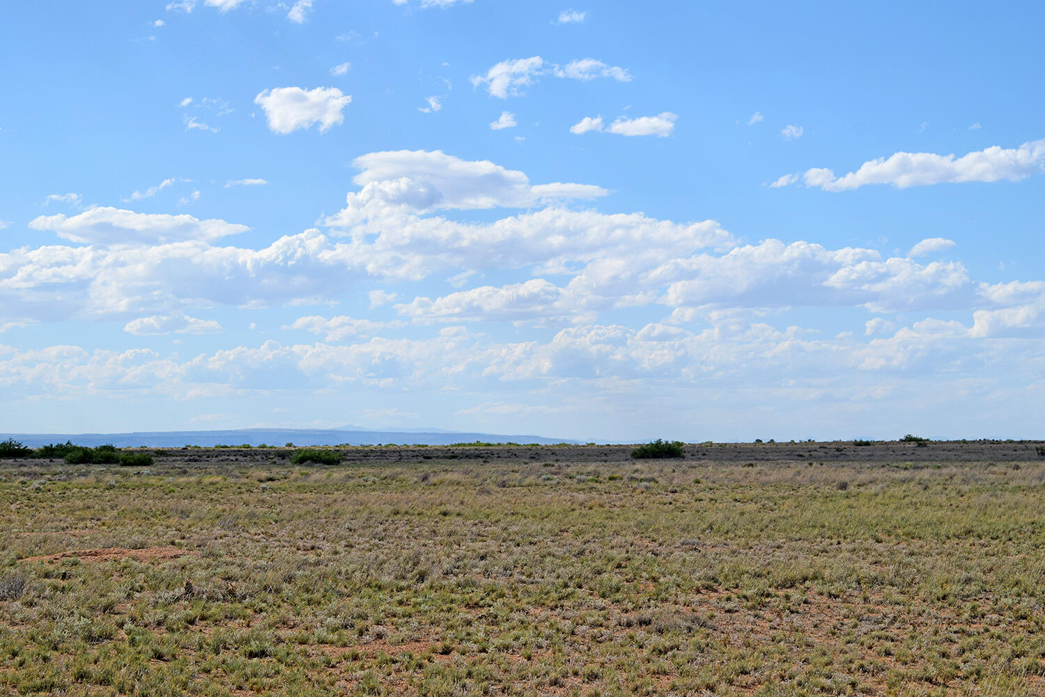 Lot 375 Rancho Rio Grande 4