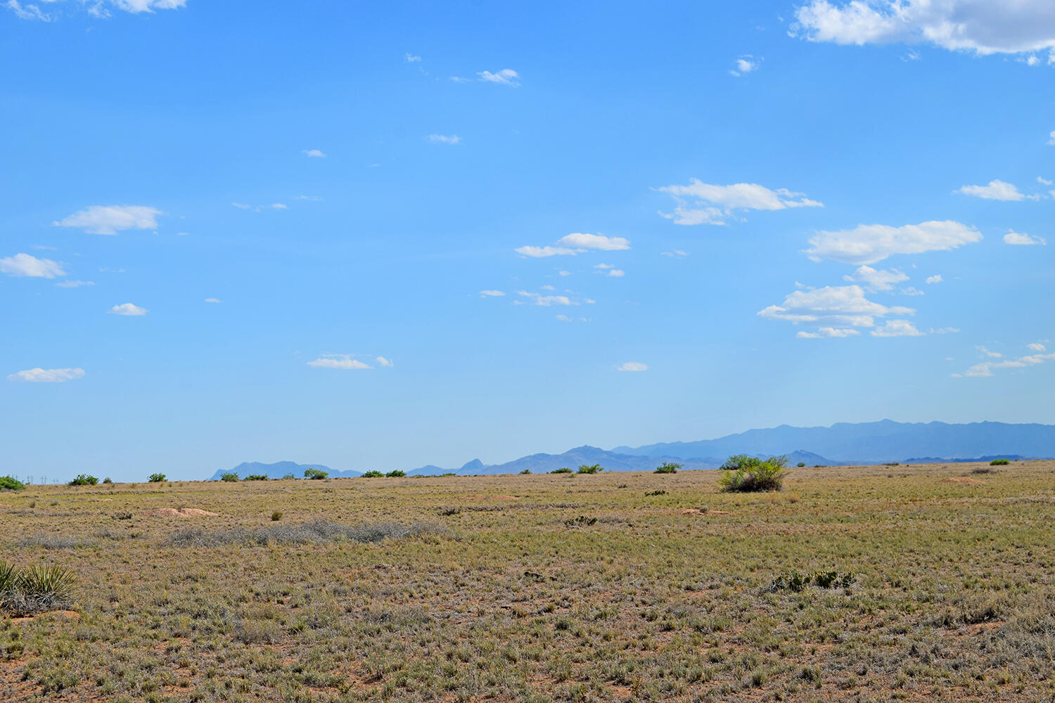Lot 375 Rancho Rio Grande 4