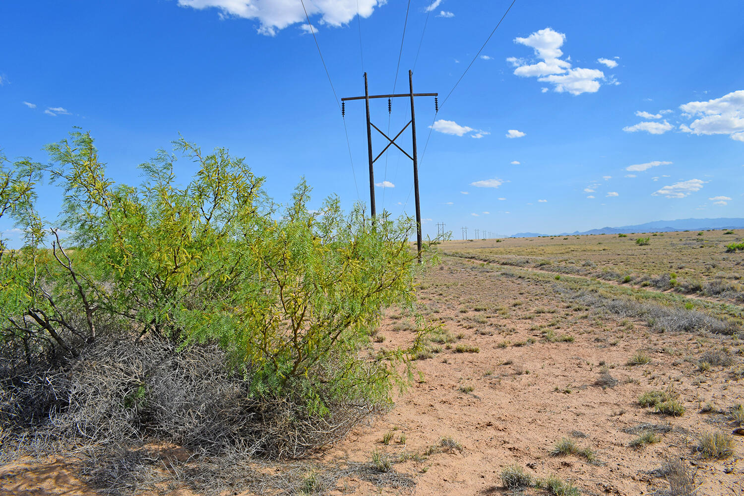 Lot 375 Rancho Rio Grande 4