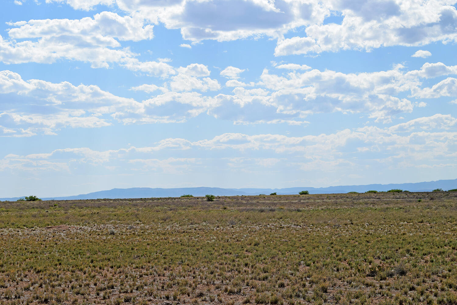 Lot 375 Rancho Rio Grande 4