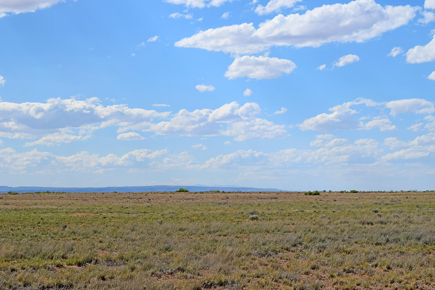 Lot 376 Rancho Rio Grande 4