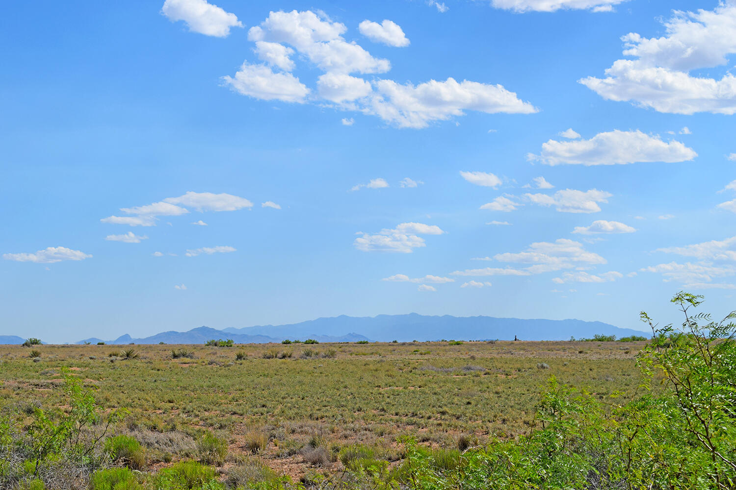 Lot 376 Rancho Rio Grande 4
