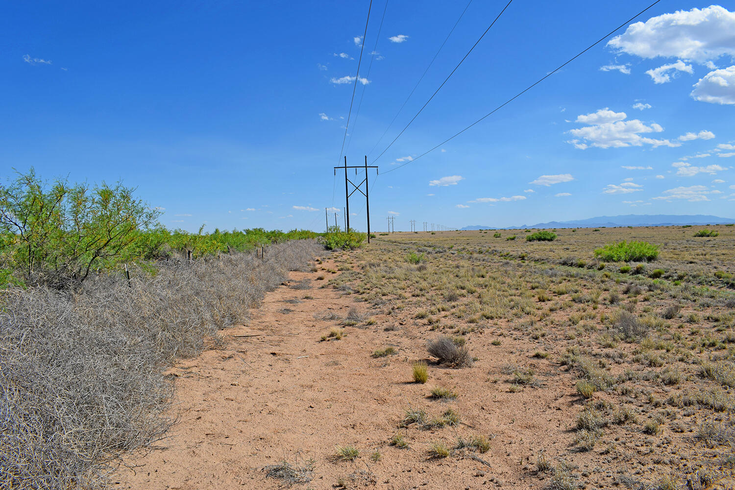 Lot 376 Rancho Rio Grande 4