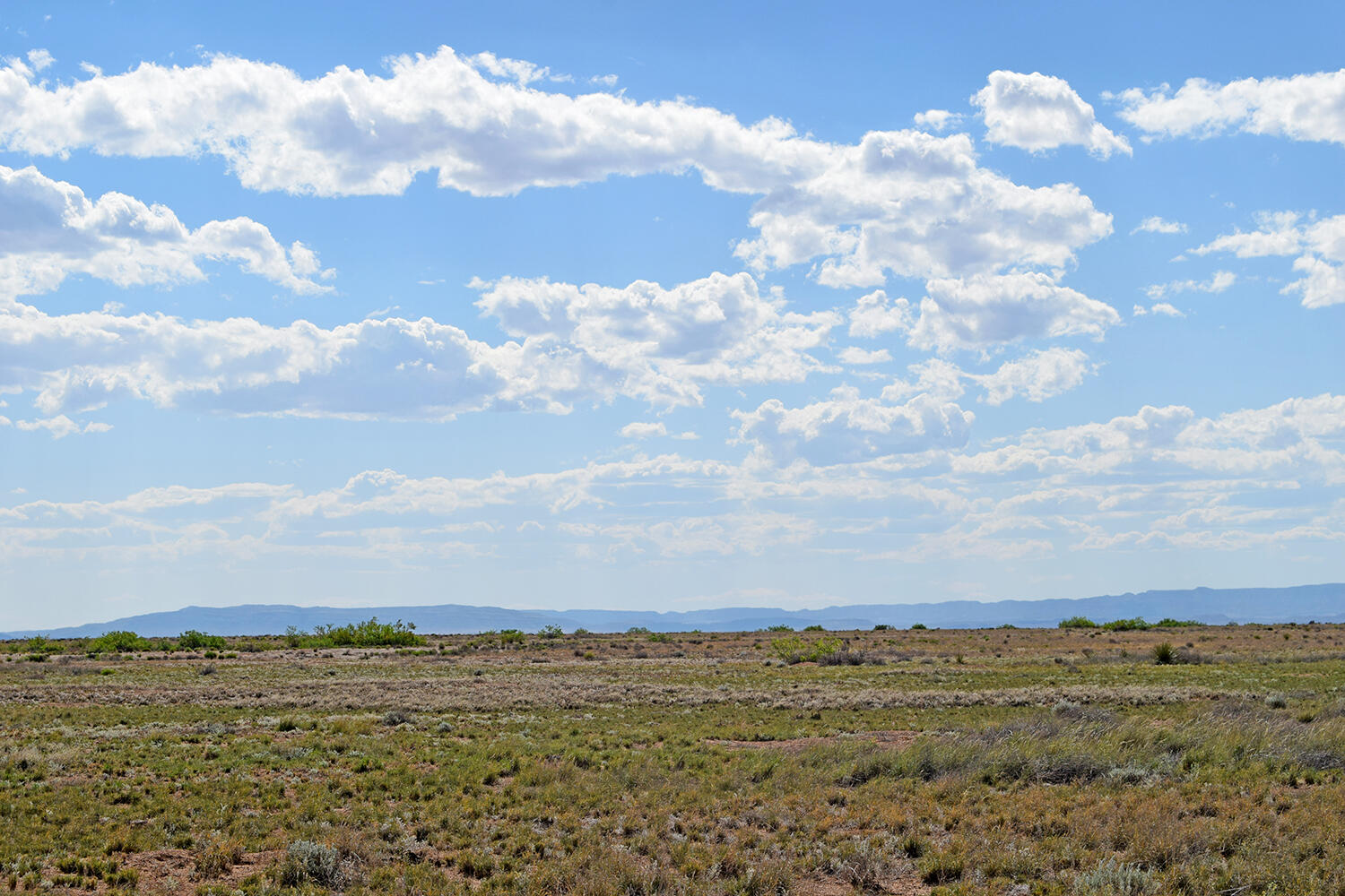 Lot 376 Rancho Rio Grande 4