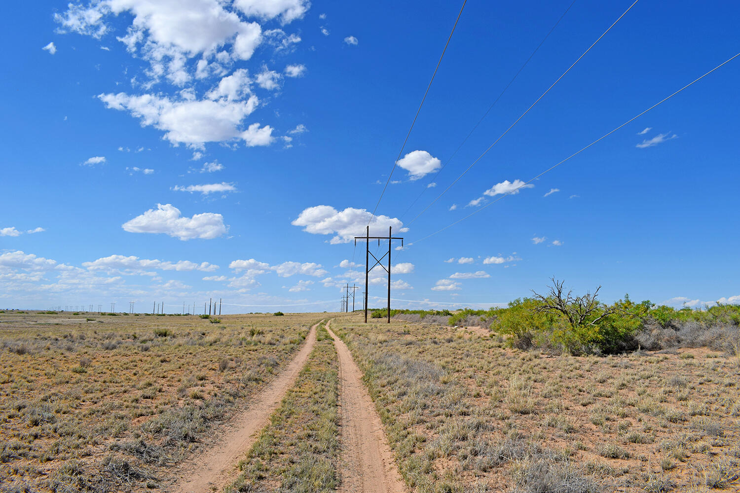 Lot 376 Rancho Rio Grande 4