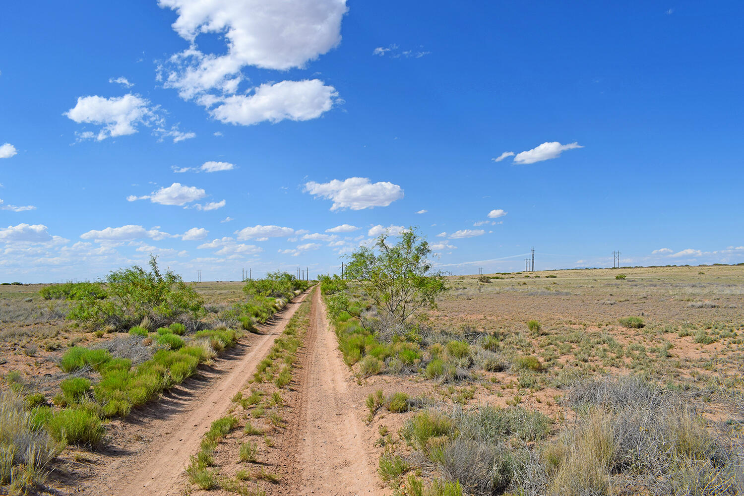 Lot 376 Rancho Rio Grande 4