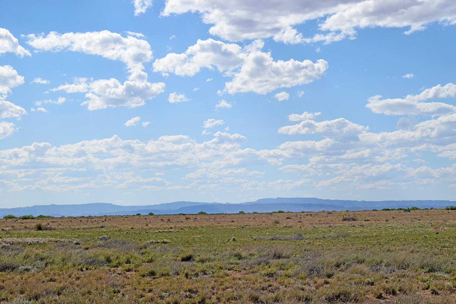 Lot 376 Rancho Rio Grande 4