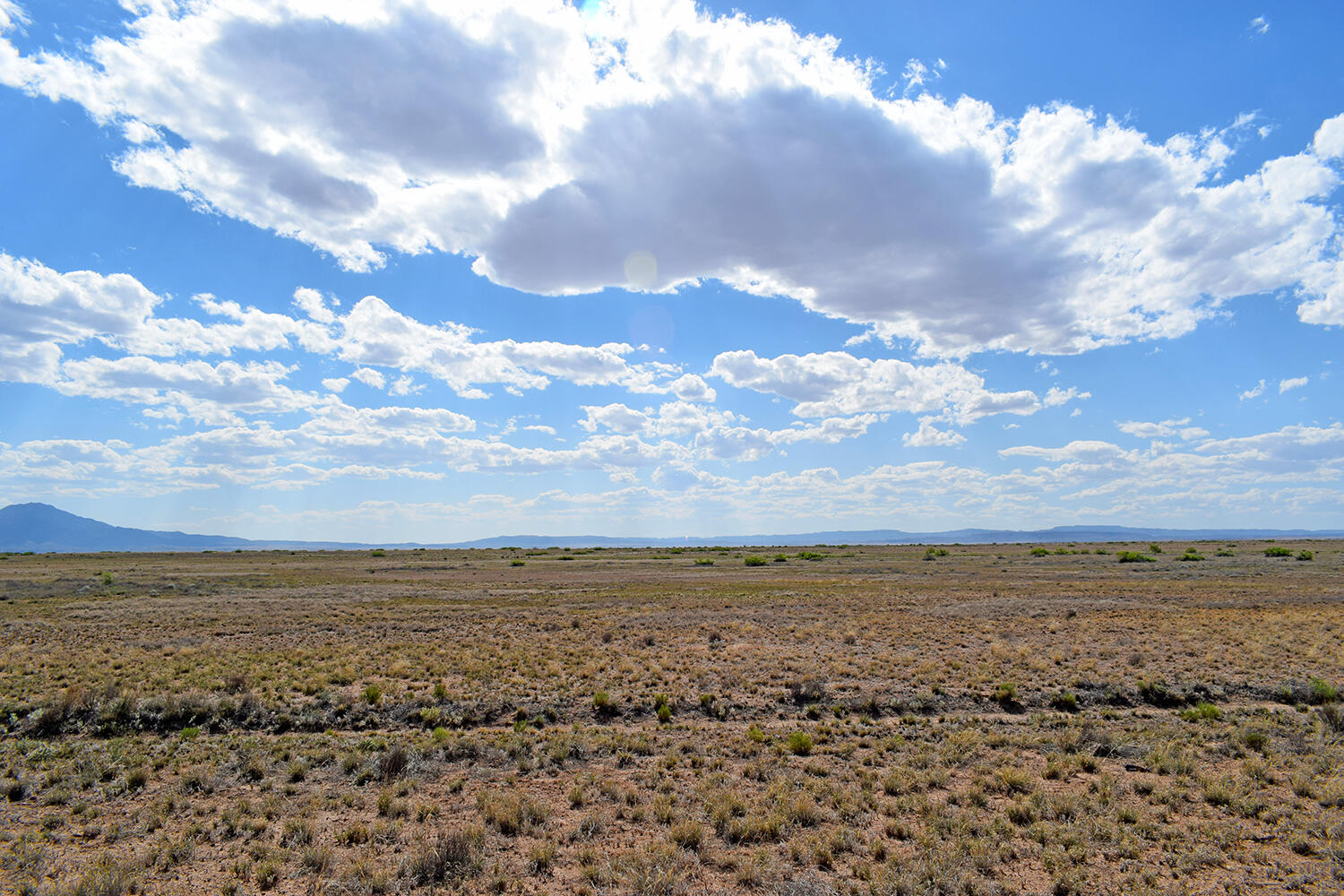Lot 376 Rancho Rio Grande 4