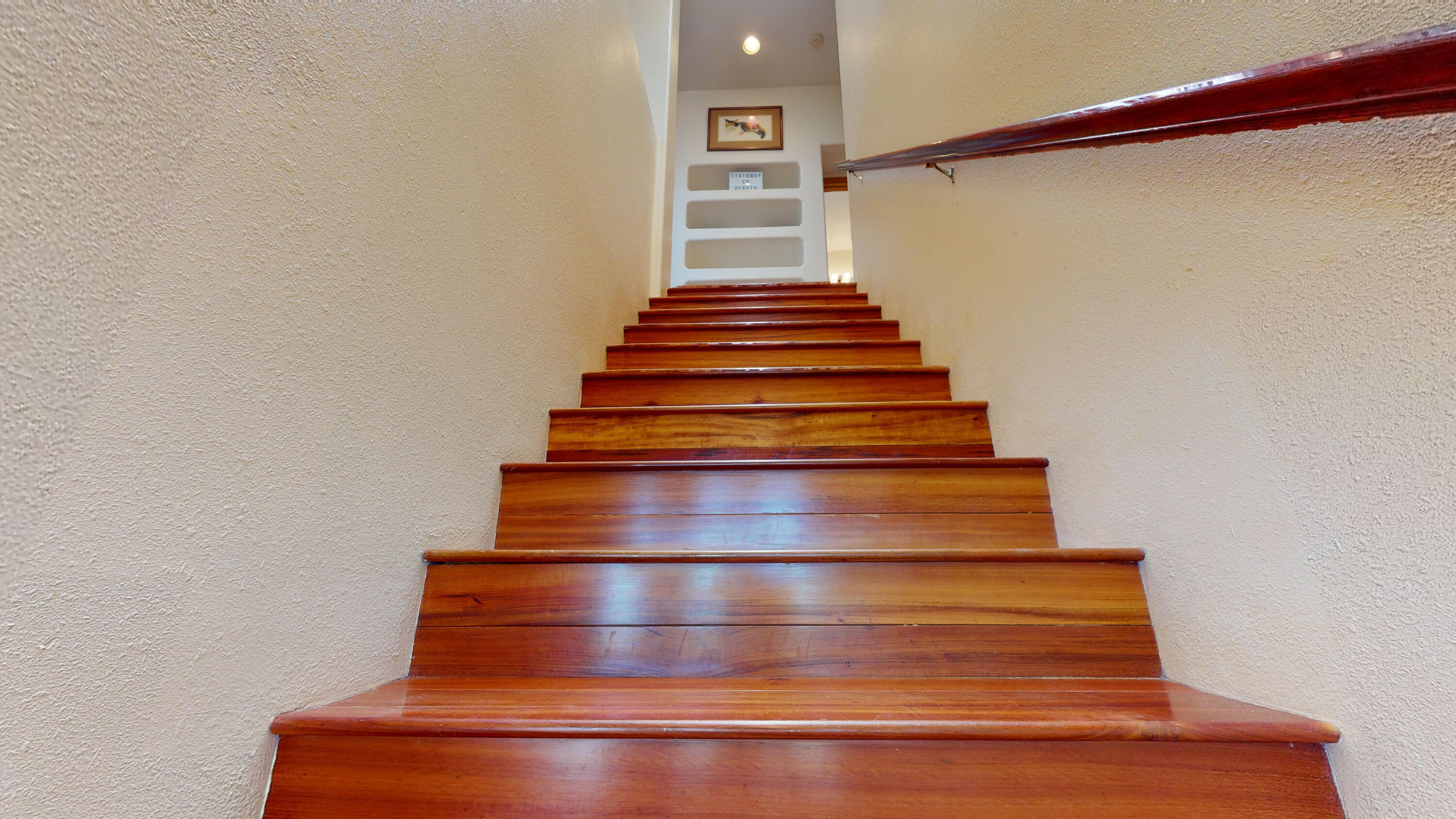 30 Anne Pickard Loop