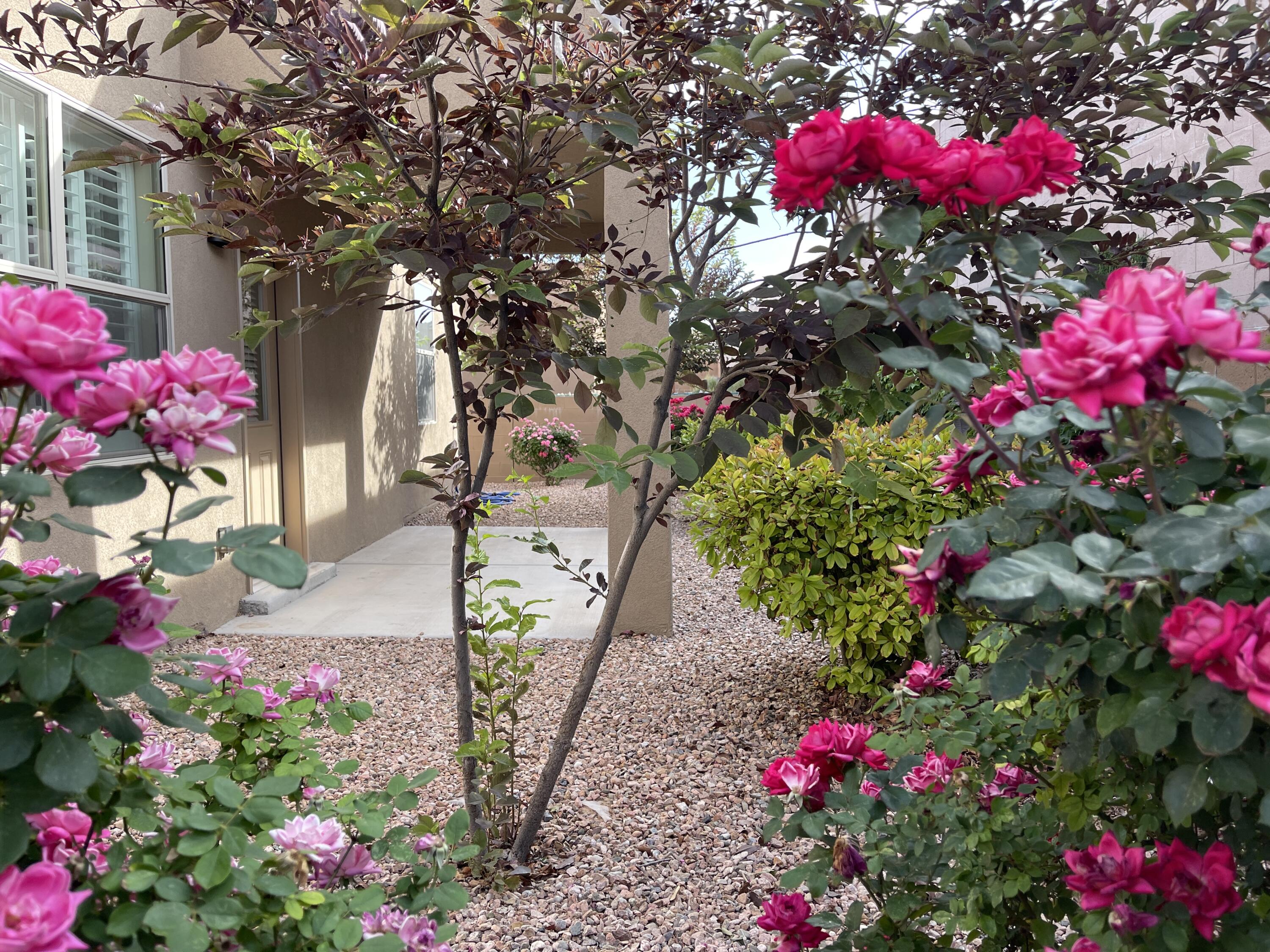 6105 SANTA FE TRAIL Trail NE