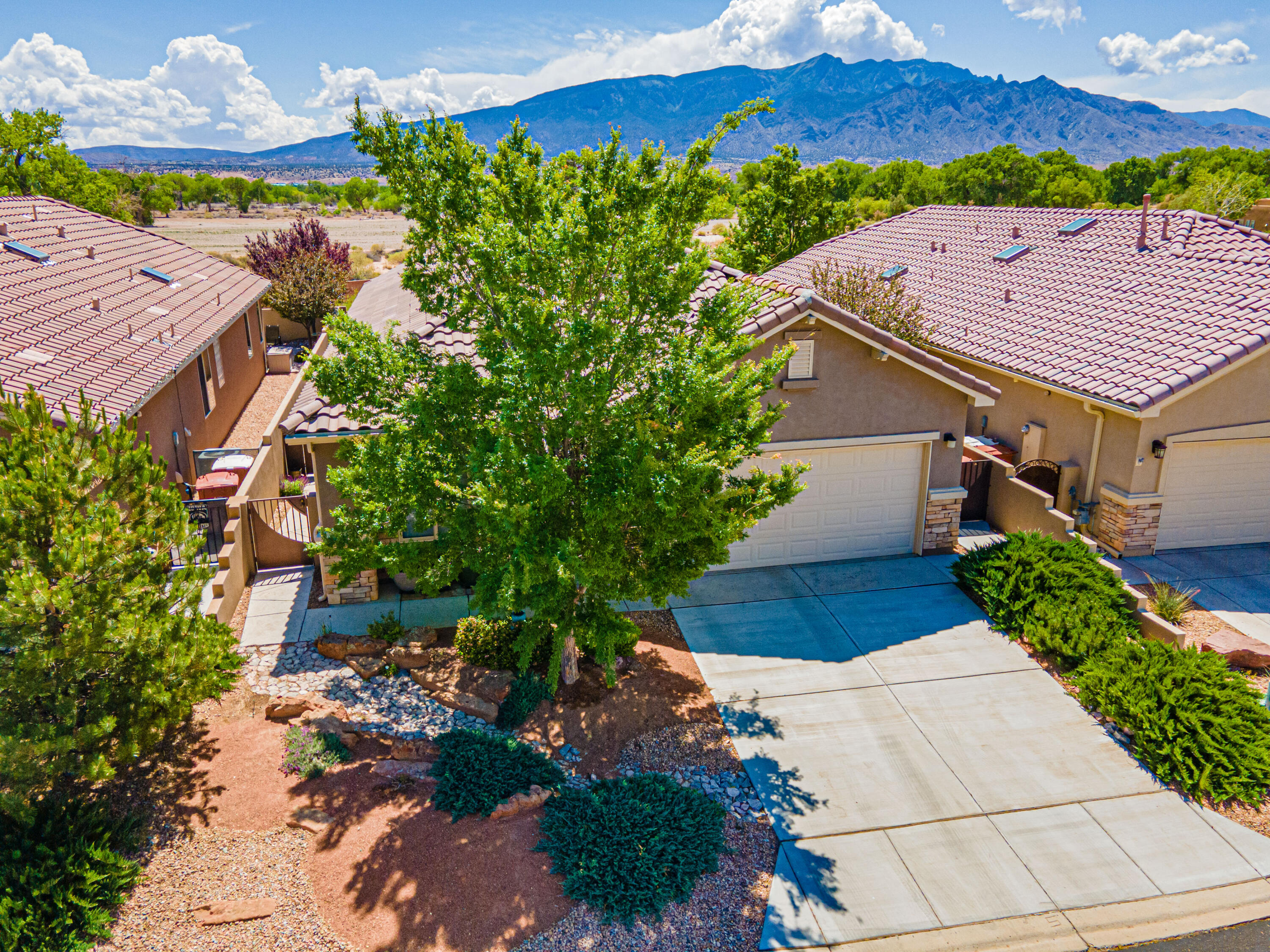 888 EVENING PRIMROSE Lane