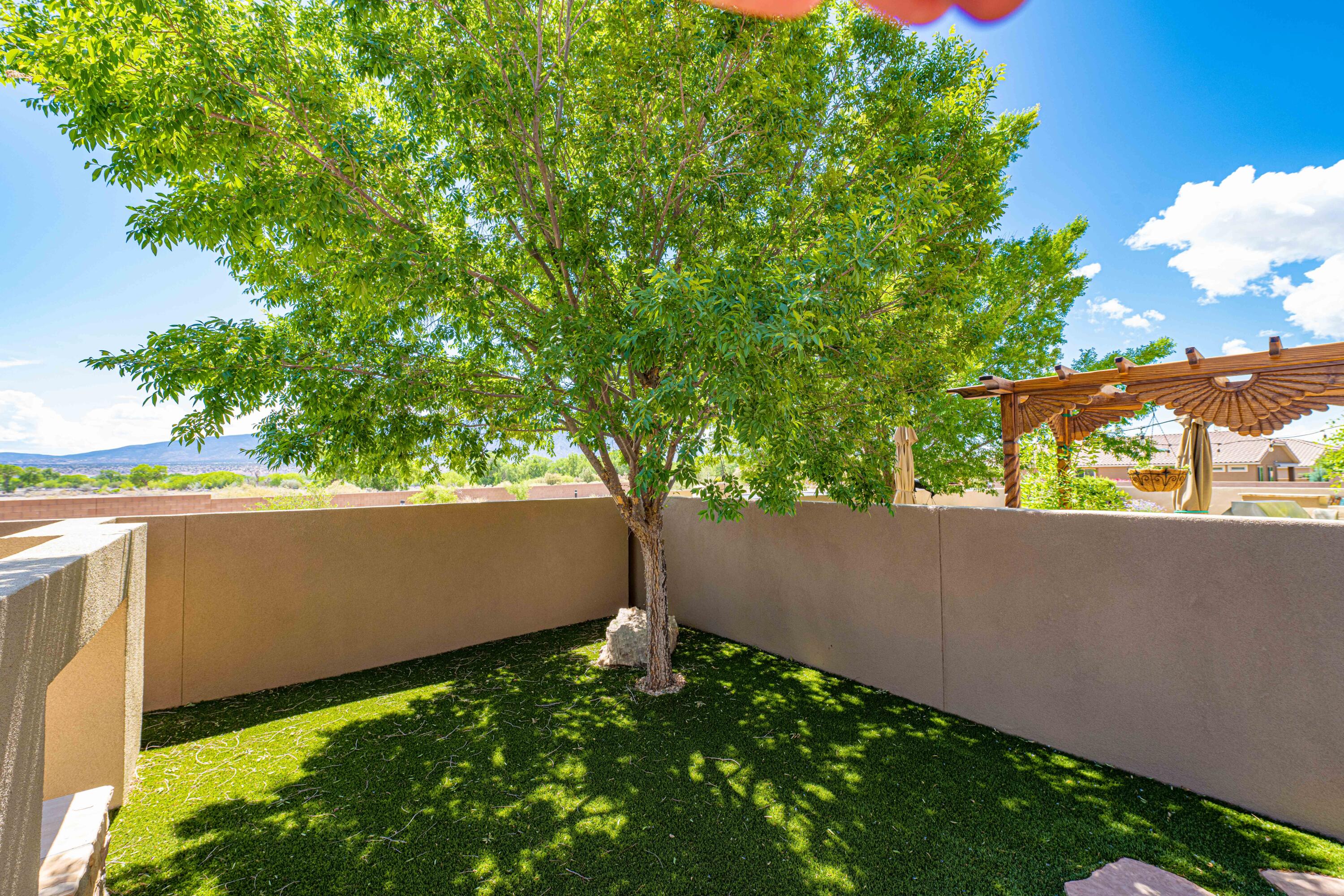 888 EVENING PRIMROSE Lane