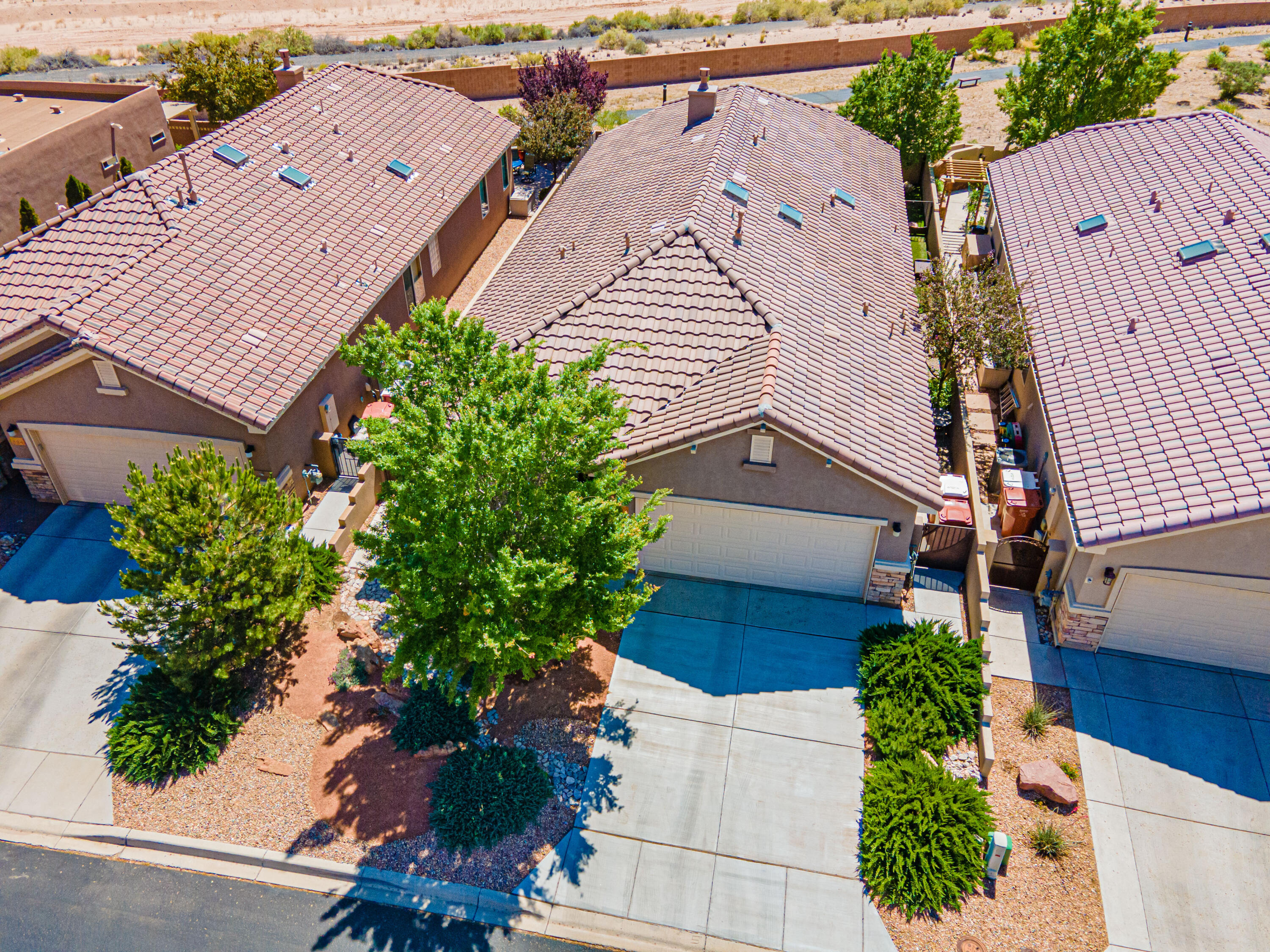 888 EVENING PRIMROSE Lane