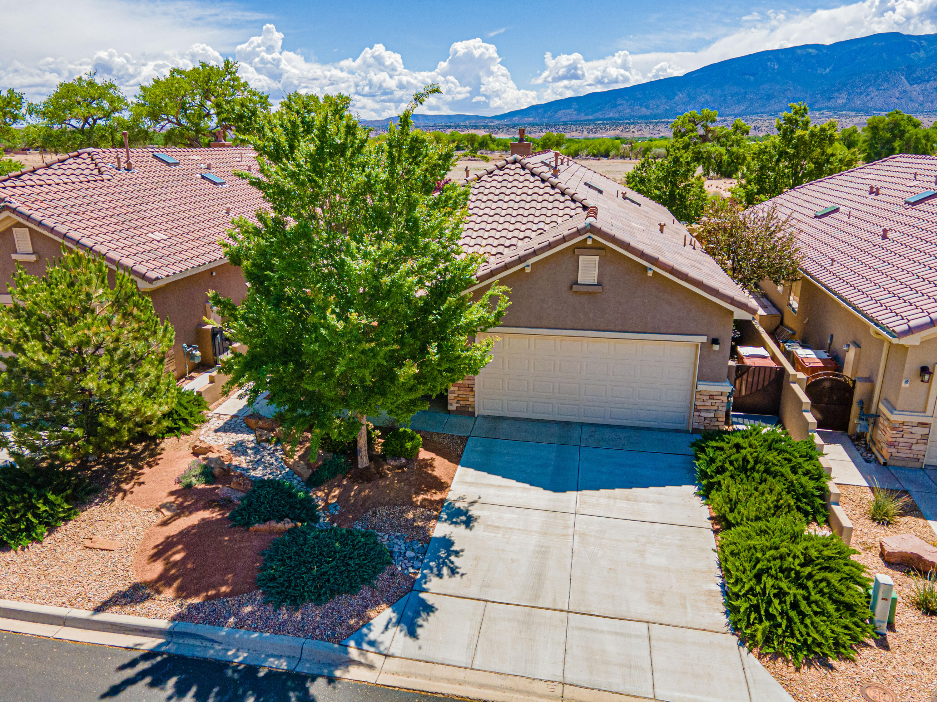888 EVENING PRIMROSE Lane