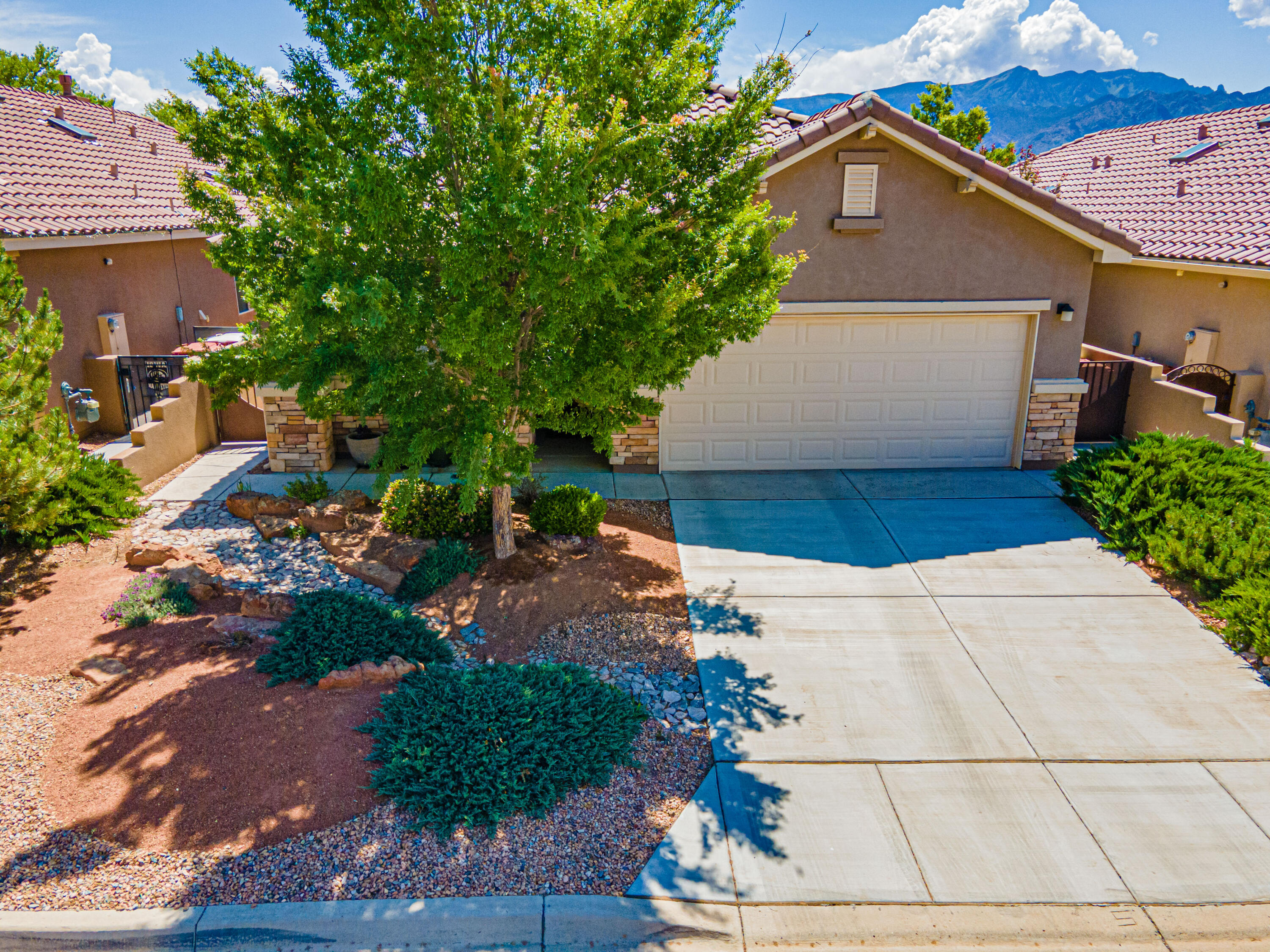 888 EVENING PRIMROSE Lane