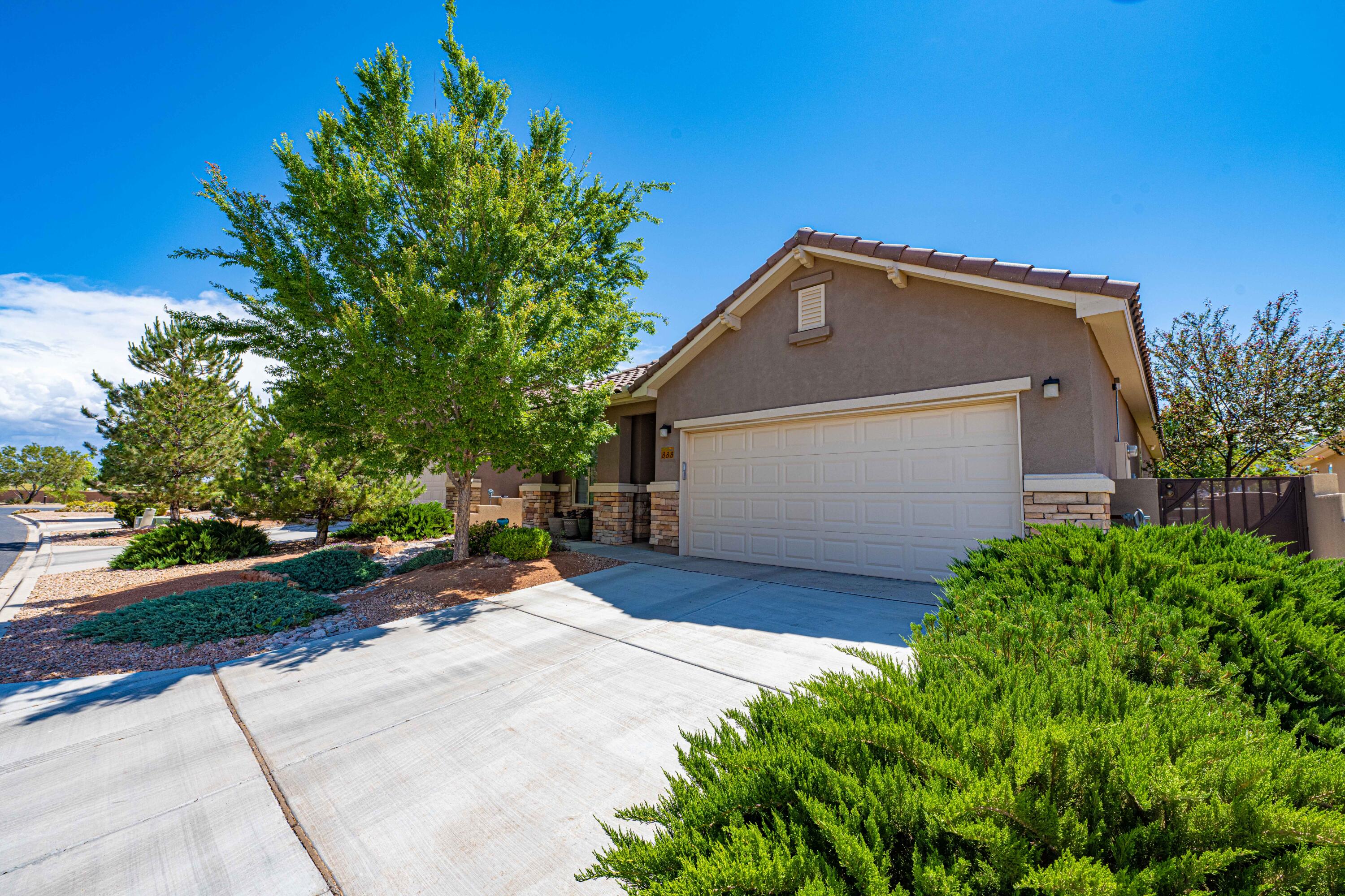 888 EVENING PRIMROSE Lane